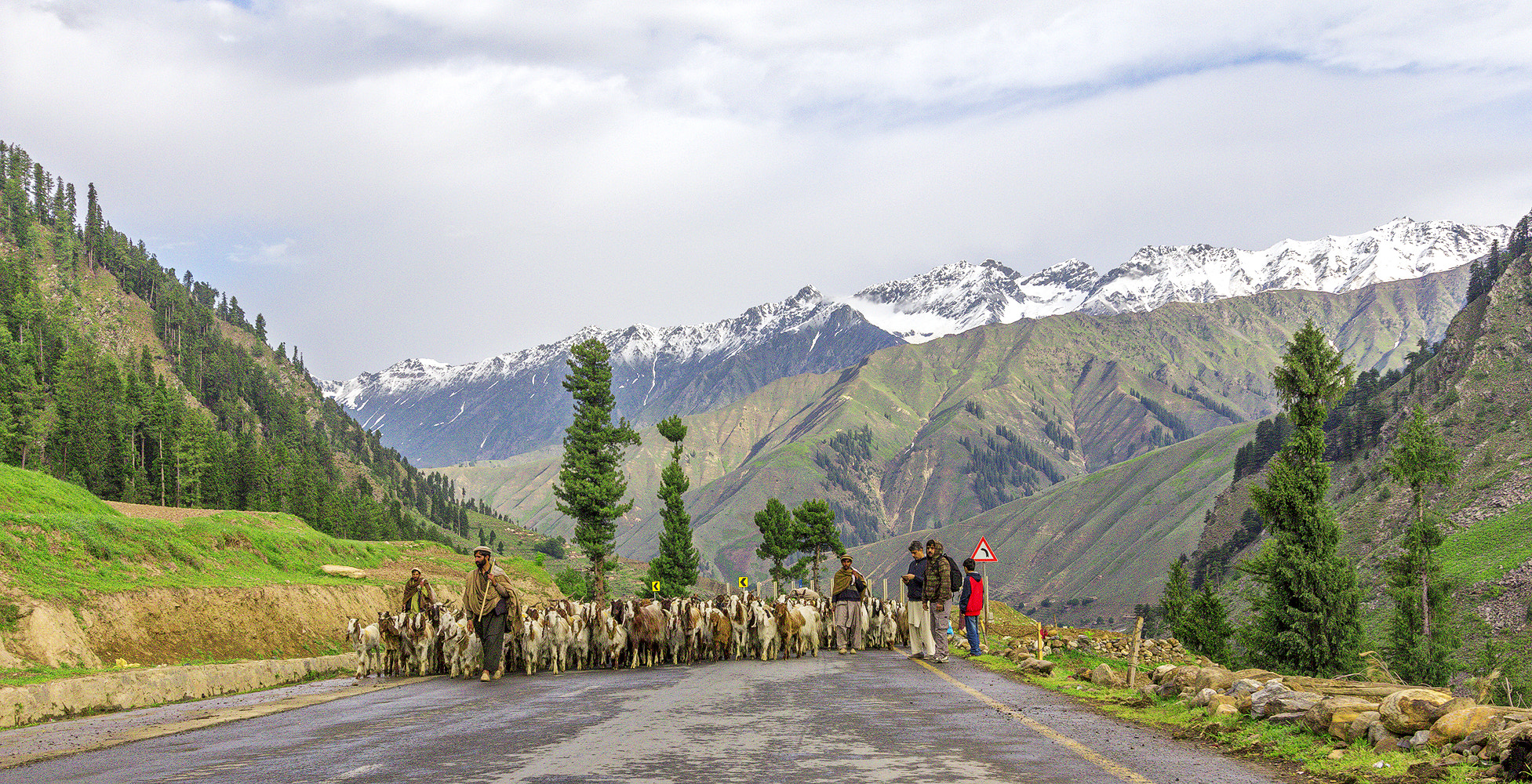 Canon EOS 650D (EOS Rebel T4i / EOS Kiss X6i) sample photo. Sheep on the march photography