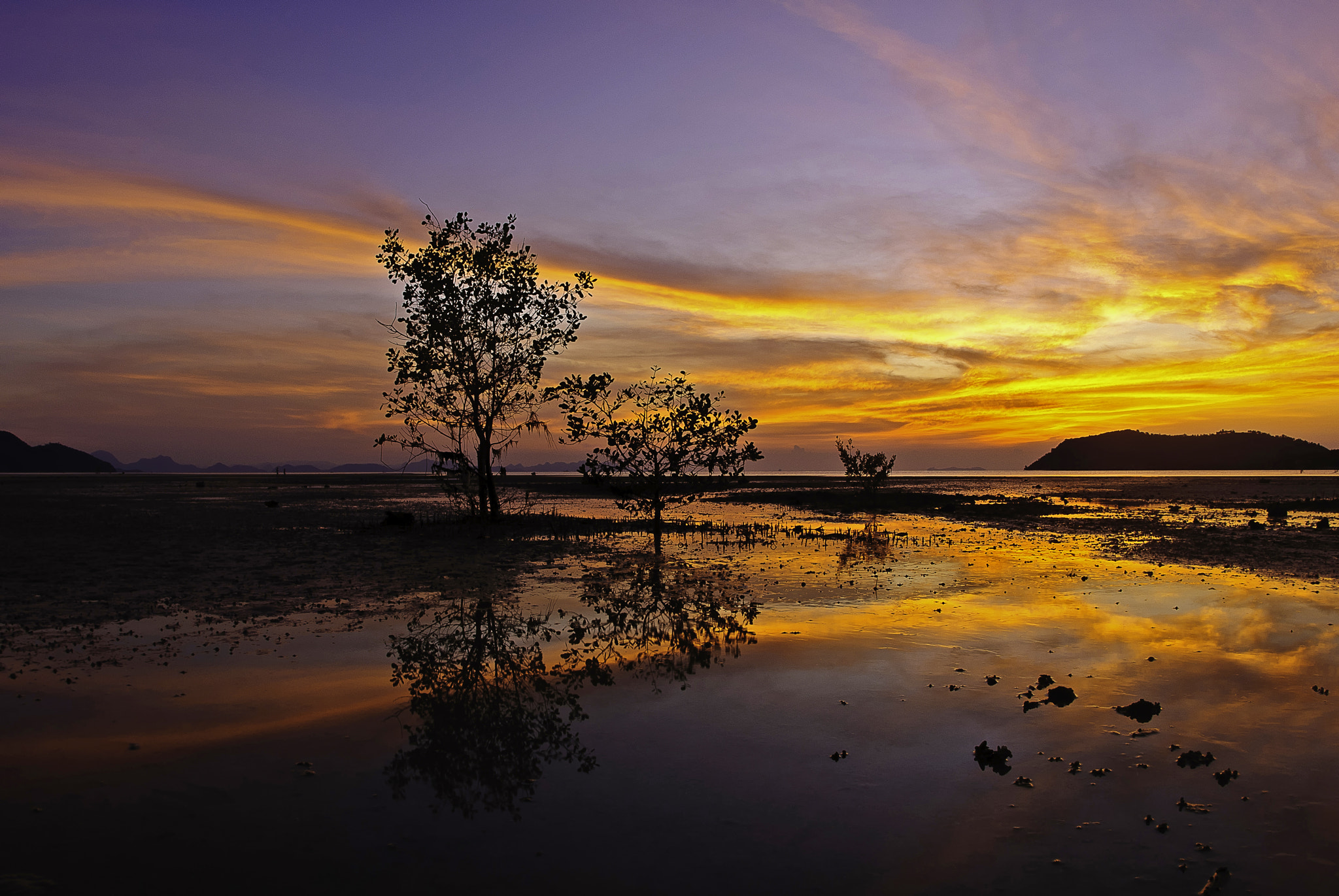 Nikon D200 + Nikon AF Fisheye-Nikkor 16mm F2.8D sample photo. Reflections photography