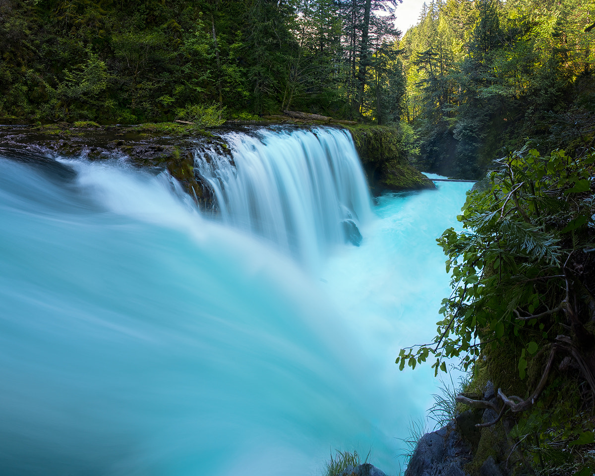Sony a7R II + Canon EF 17-40mm F4L USM sample photo. Unleashed power photography