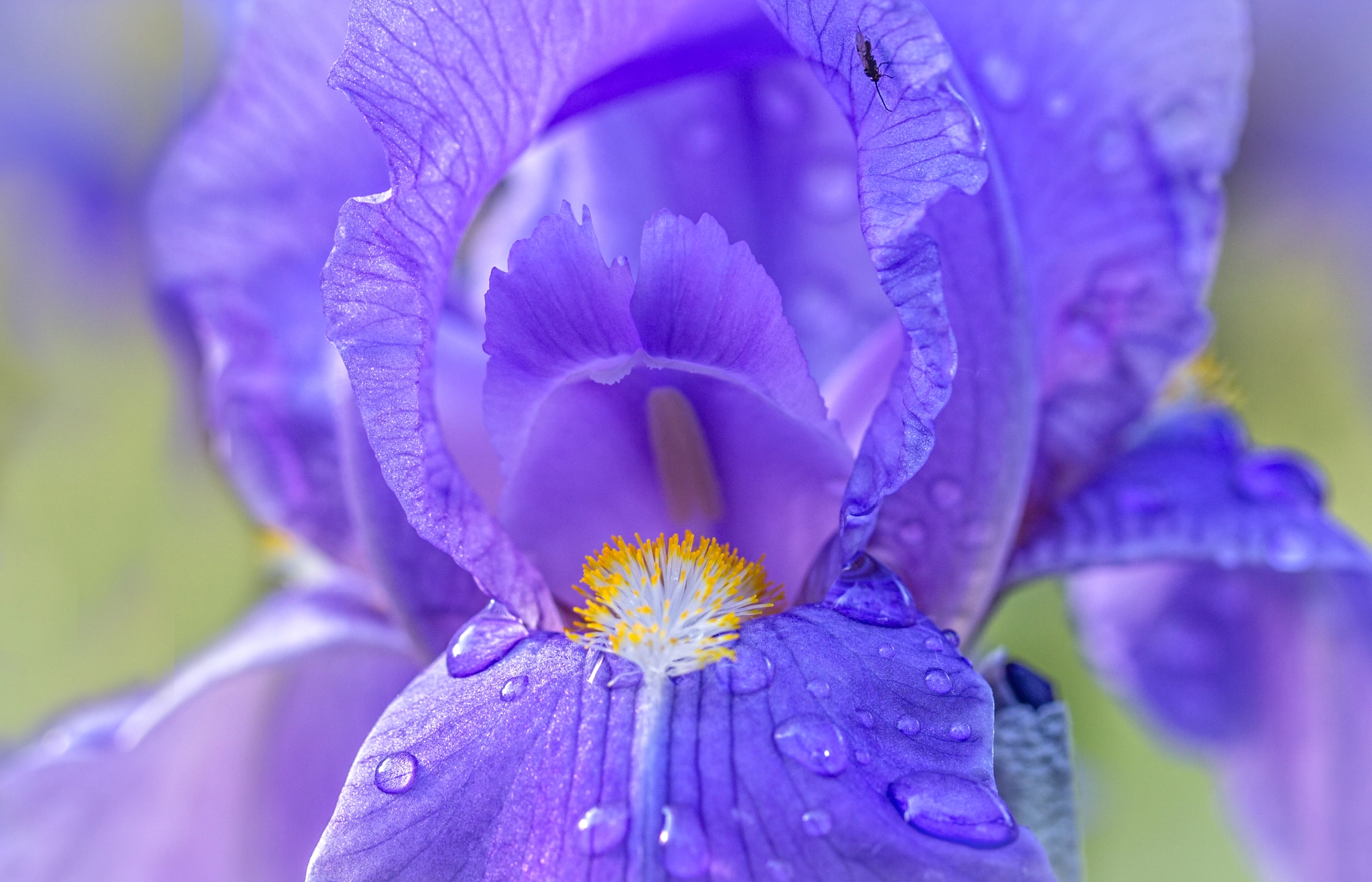 v2?sig=076502c2badad1a2b03a447331571c80c7fa1ca10ba54275d0dd9dd70a6344d4