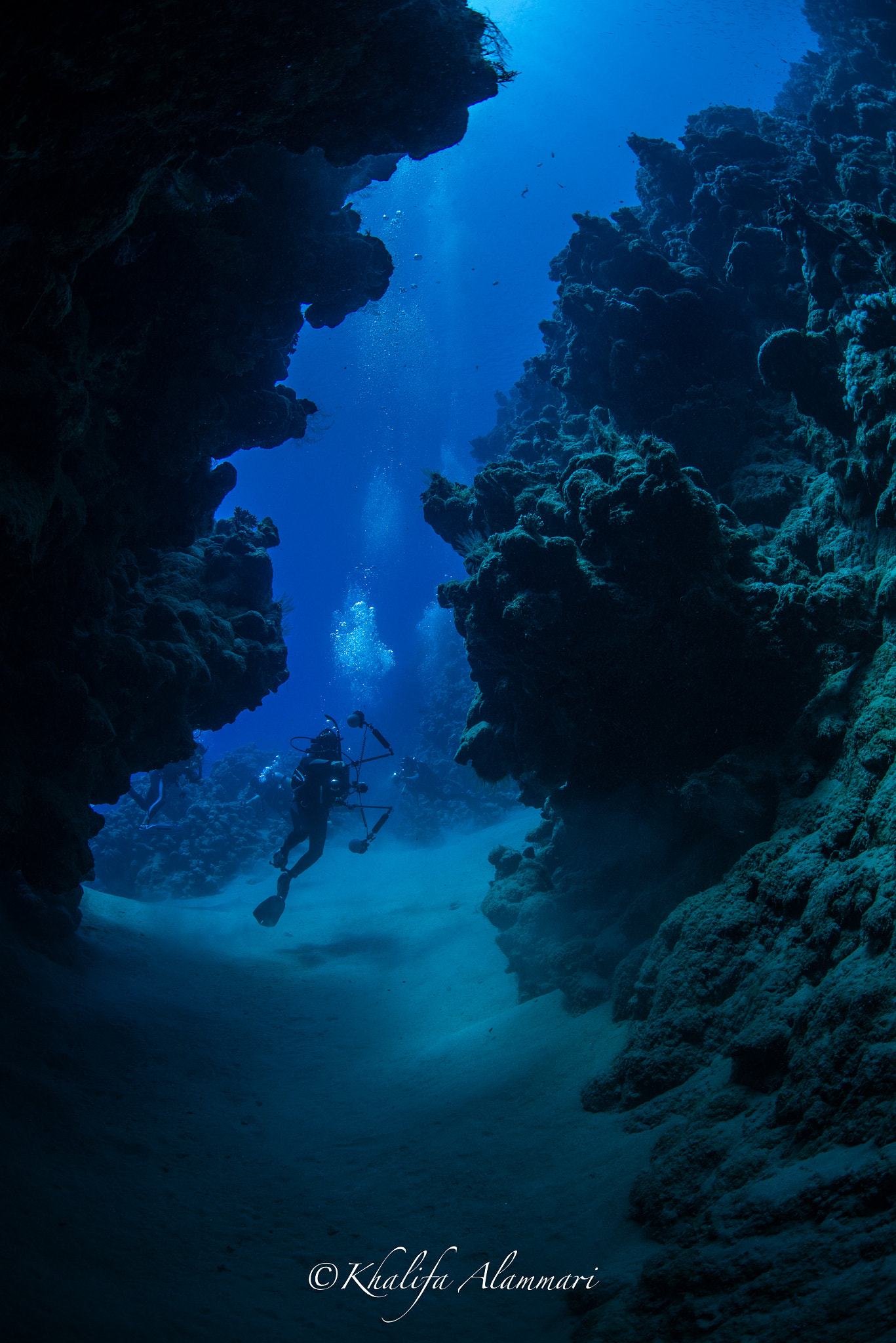 Nikon D610 + Sigma 15mm F2.8 EX DG Diagonal Fisheye sample photo. Hani sharm photography