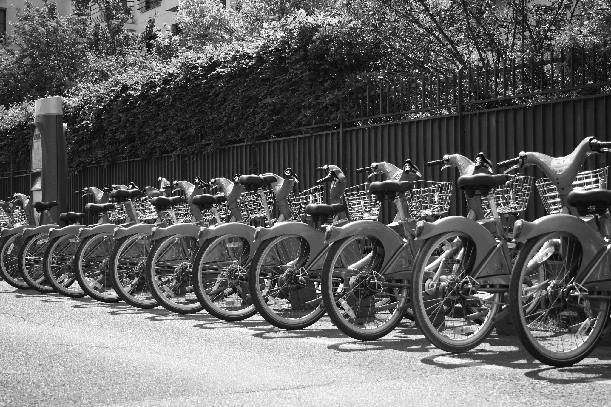 Canon EF-S 18-55mm f/3.5-5.6 USM sample photo. Paris bikes photography