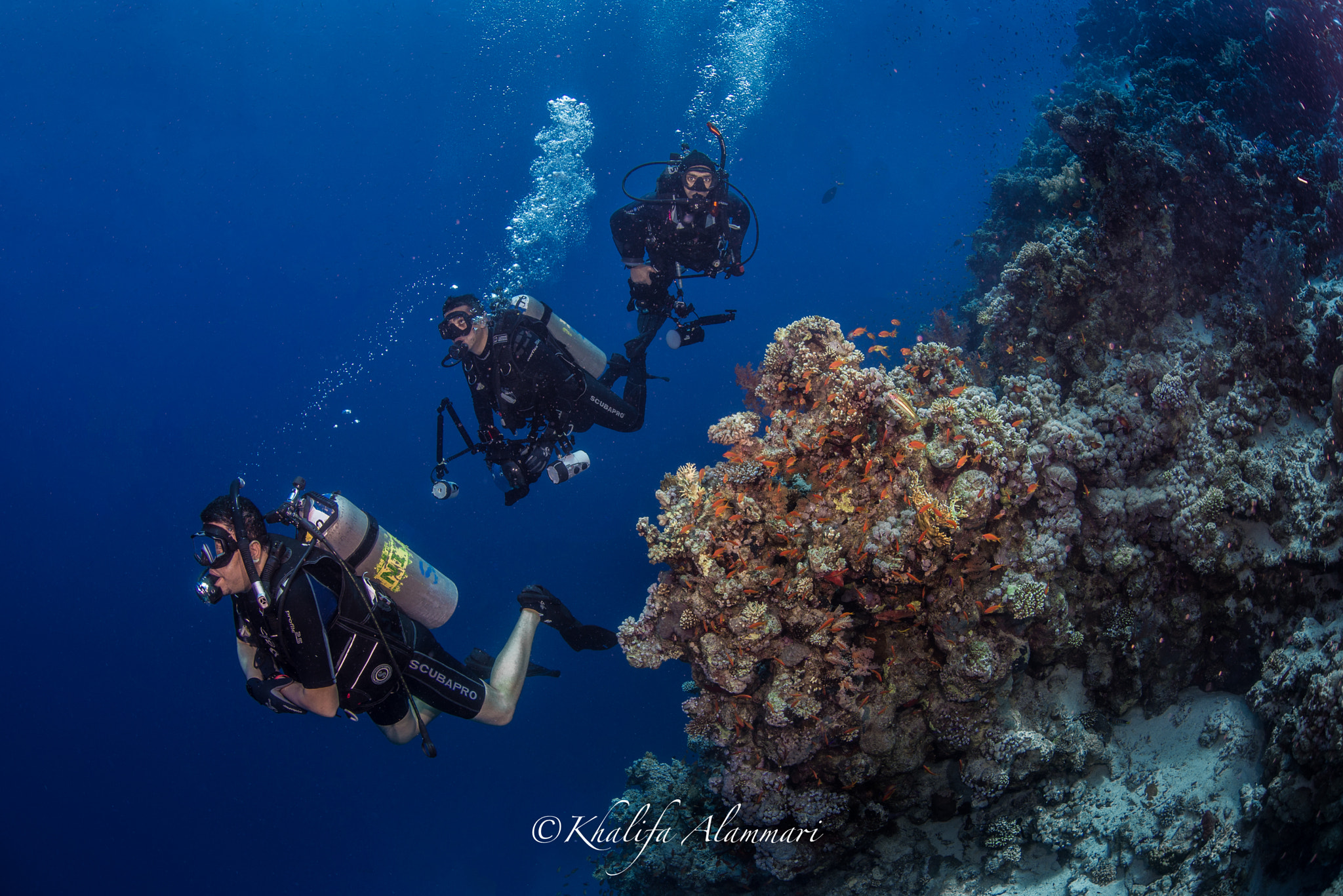 Nikon D610 + Sigma 15mm F2.8 EX DG Diagonal Fisheye sample photo. Sharm photography