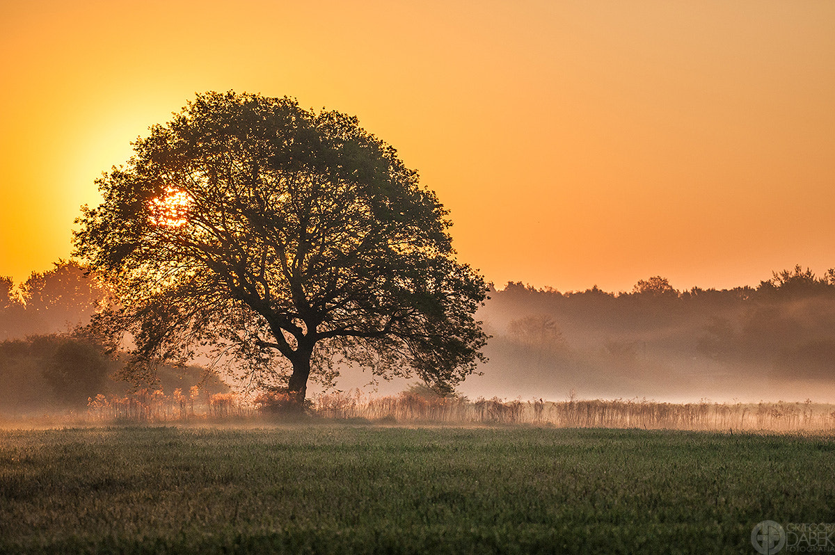 Nikon AF-S Nikkor 200-500mm F5.6E ED VR sample photo. Poland, kraków, this morning photography
