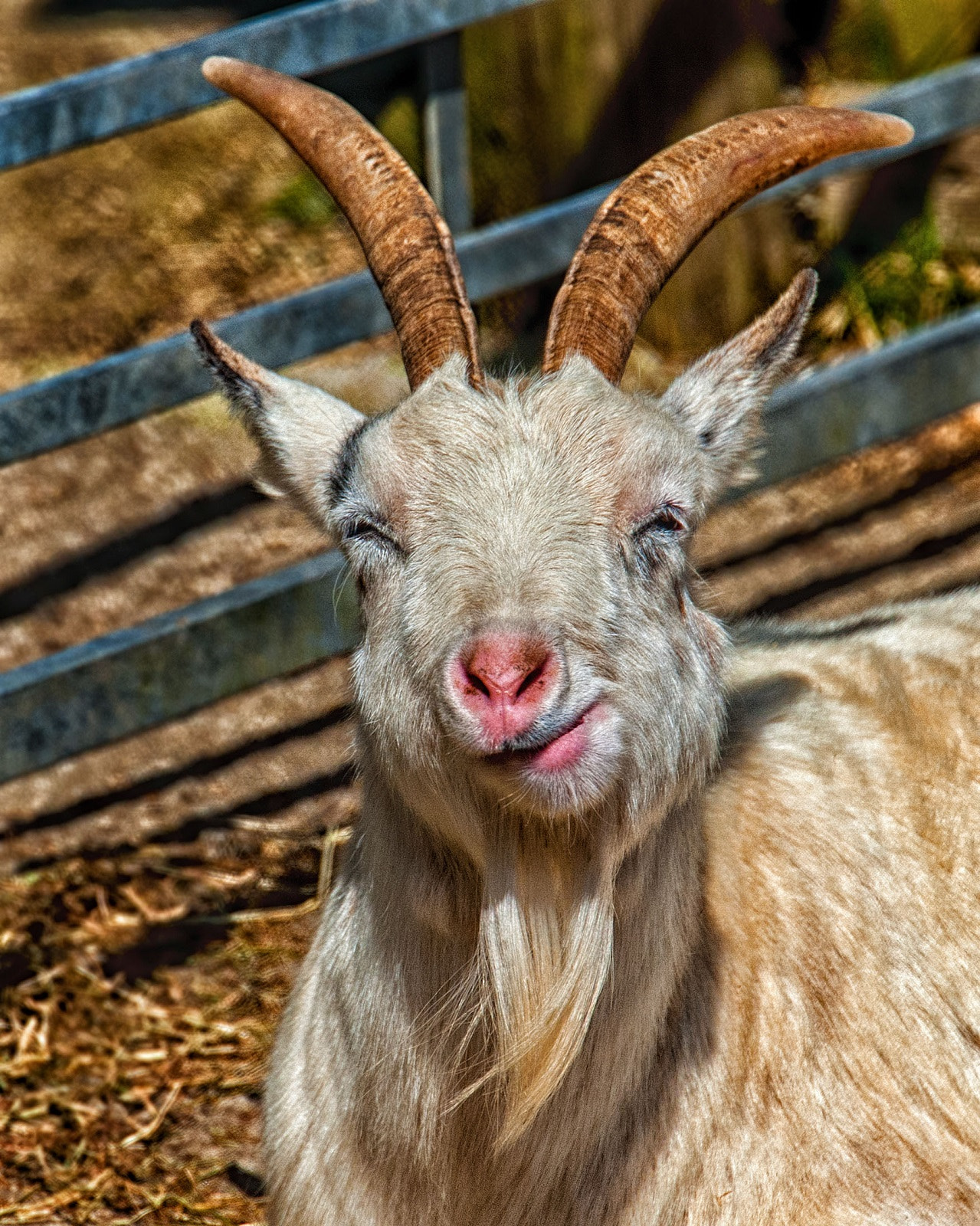 Nikon D3 sample photo. You're kidding ! photography
