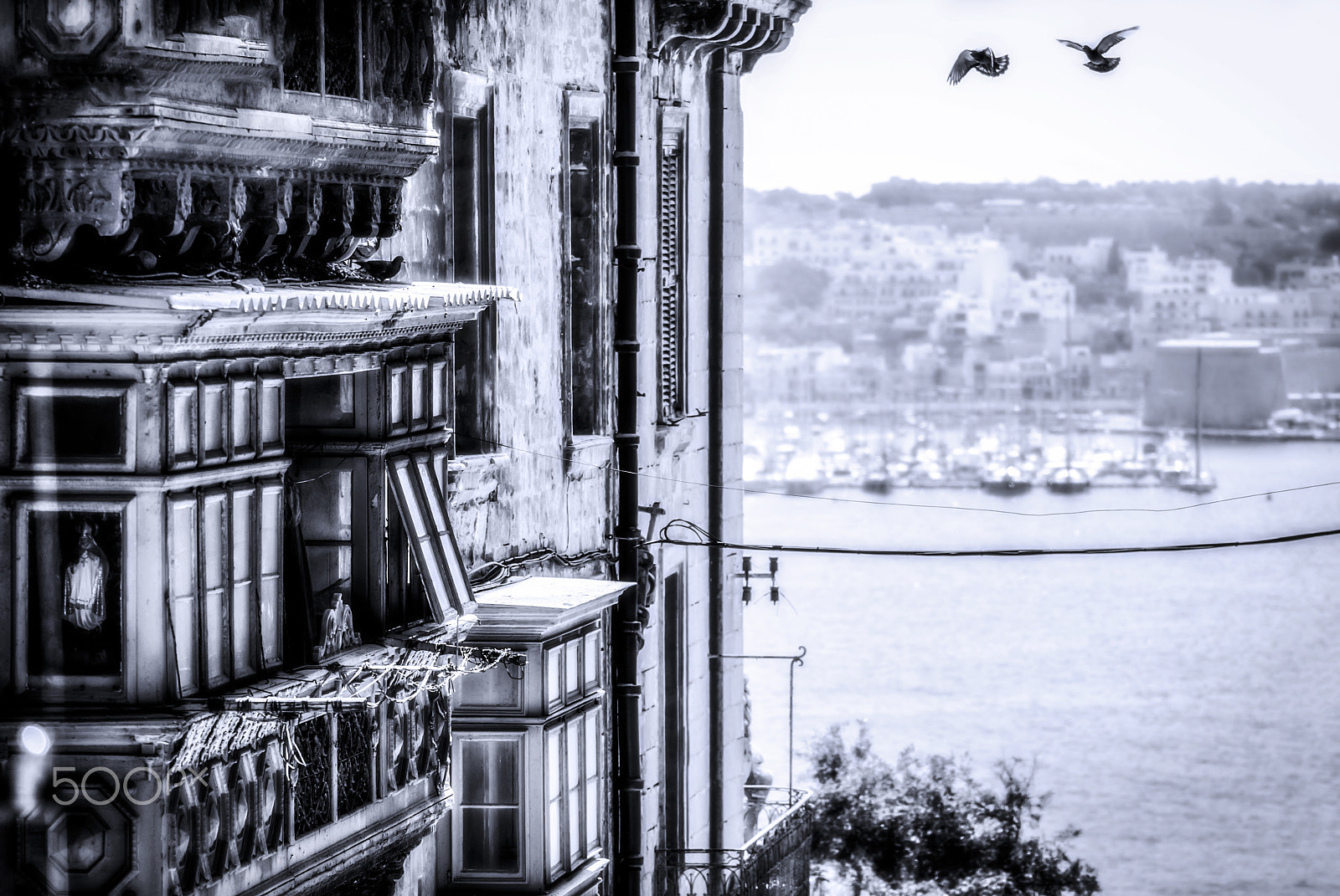 Sigma 105mm F2.8 EX DG OS HSM sample photo. Flying over the streets of valletta photography
