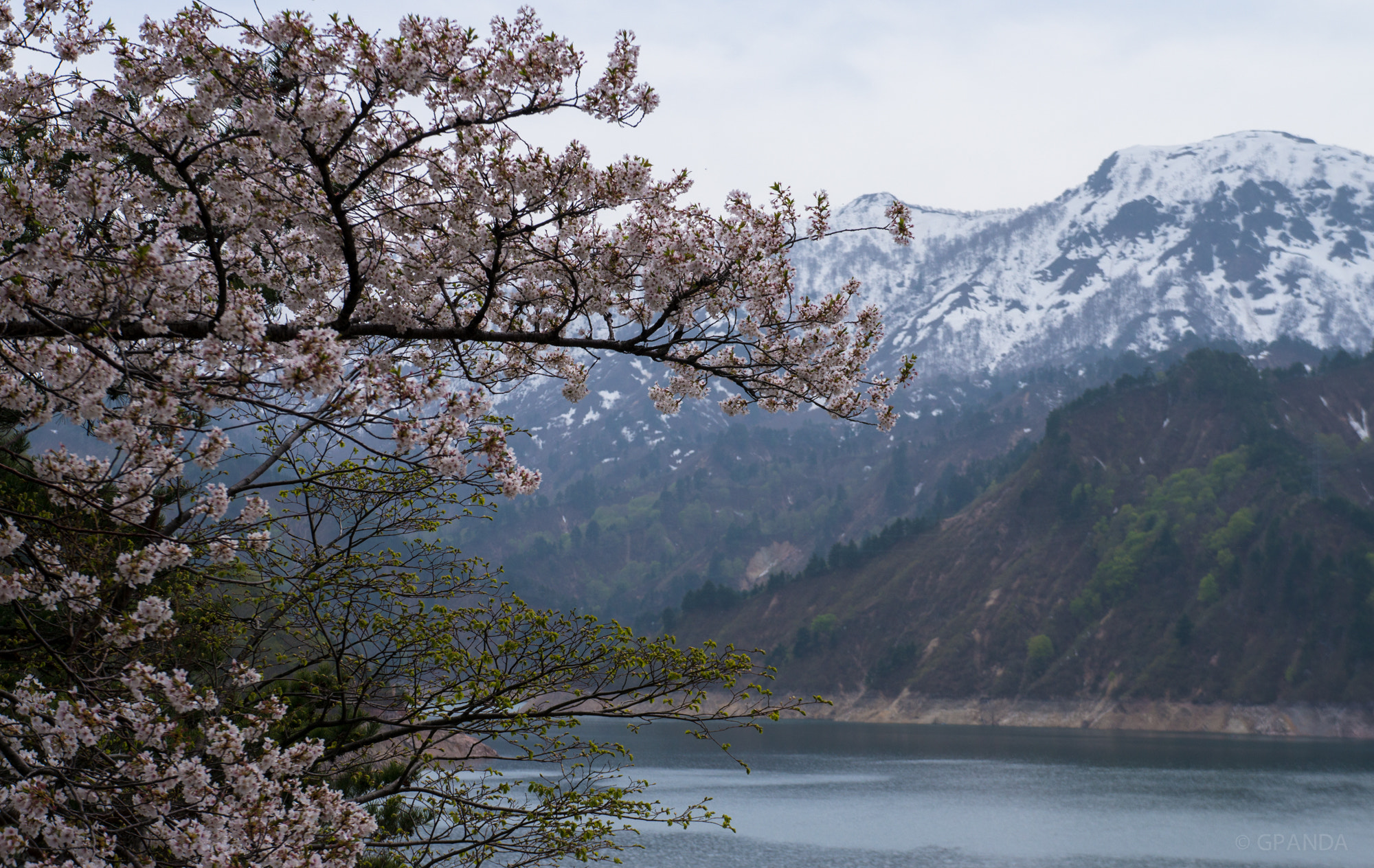 Sony Alpha NEX-5T sample photo. Early spring photography