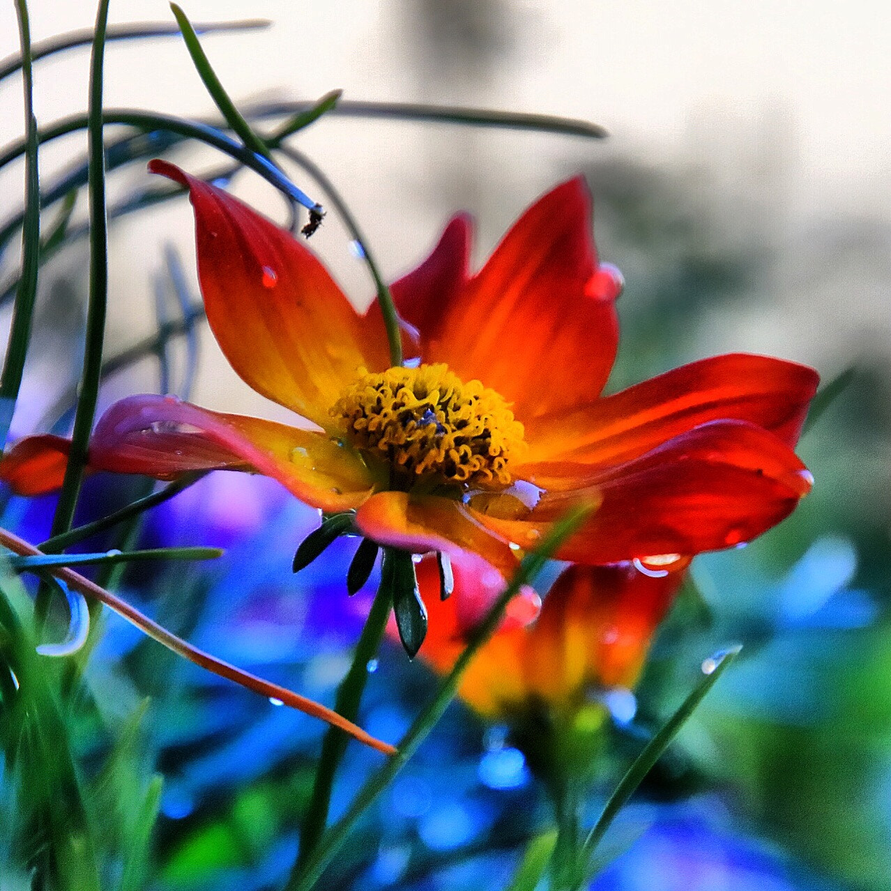 Canon EOS 750D (EOS Rebel T6i / EOS Kiss X8i) sample photo. Summermorning photography
