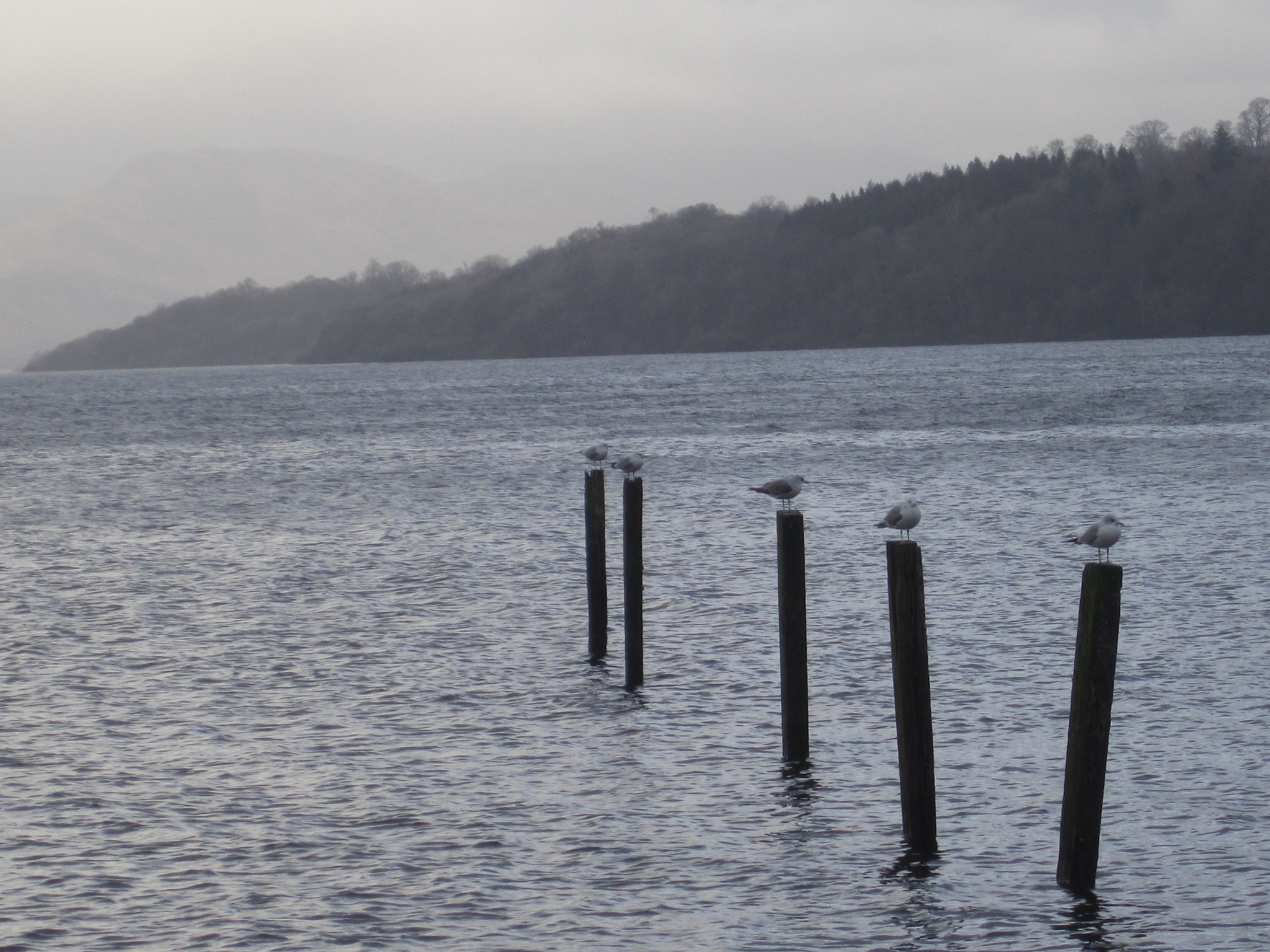 Canon PowerShot SD1400 IS (IXUS 130 / IXY 400F) sample photo. Loch lomond lake photography