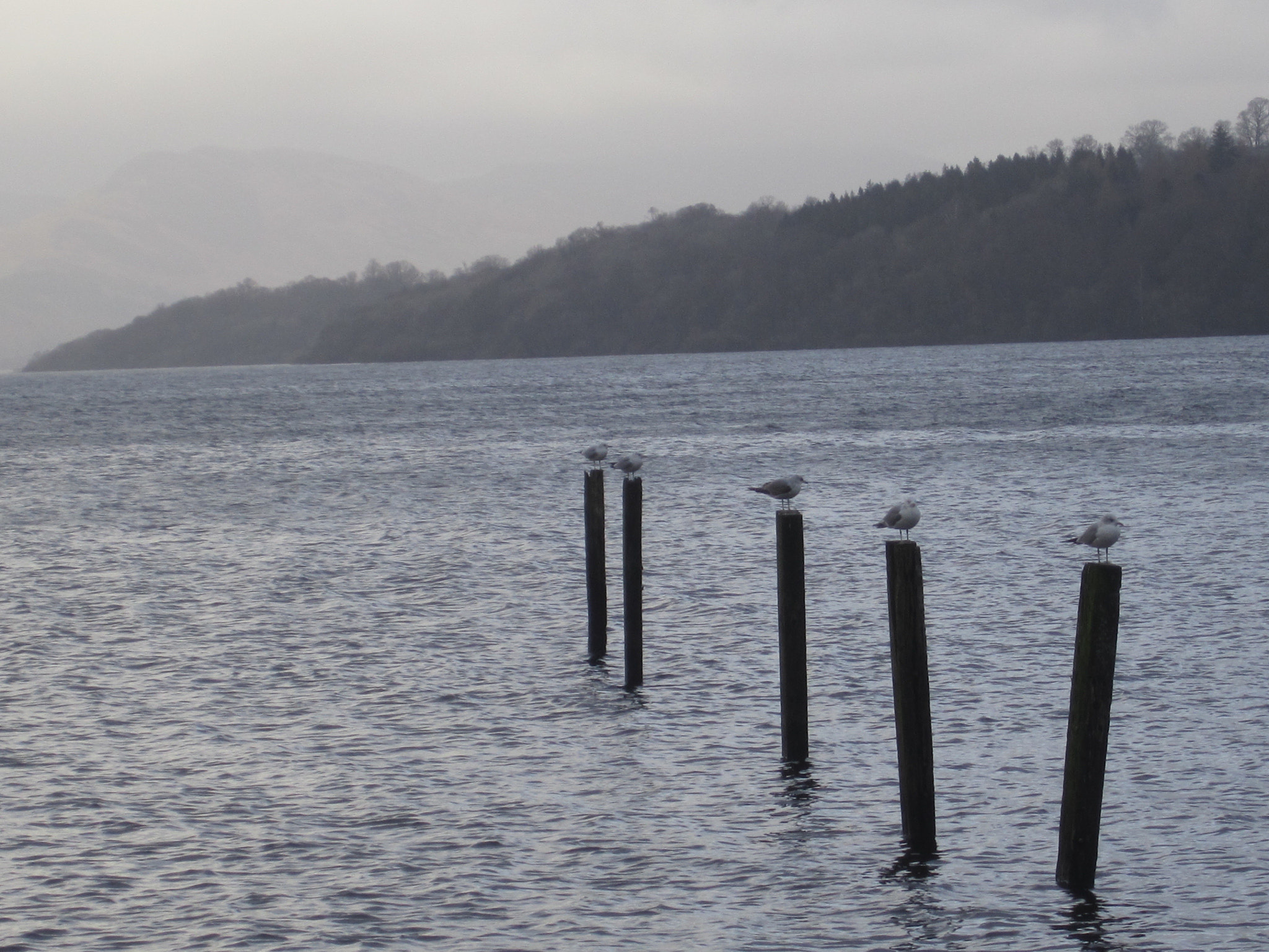 Canon PowerShot SD1400 IS (IXUS 130 / IXY 400F) sample photo. Loch lomond lake photography