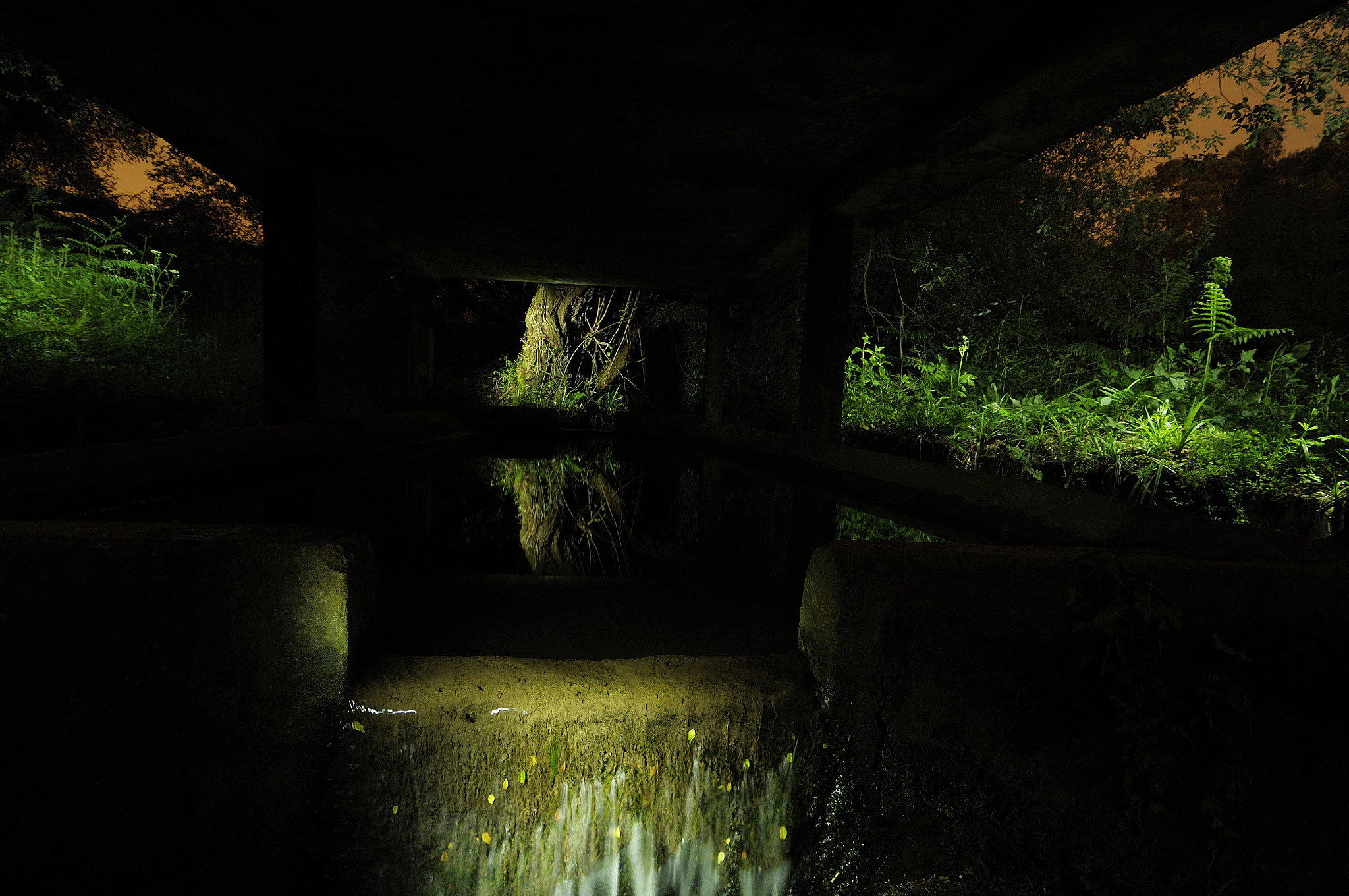 Nikon D300S sample photo. Noville photography