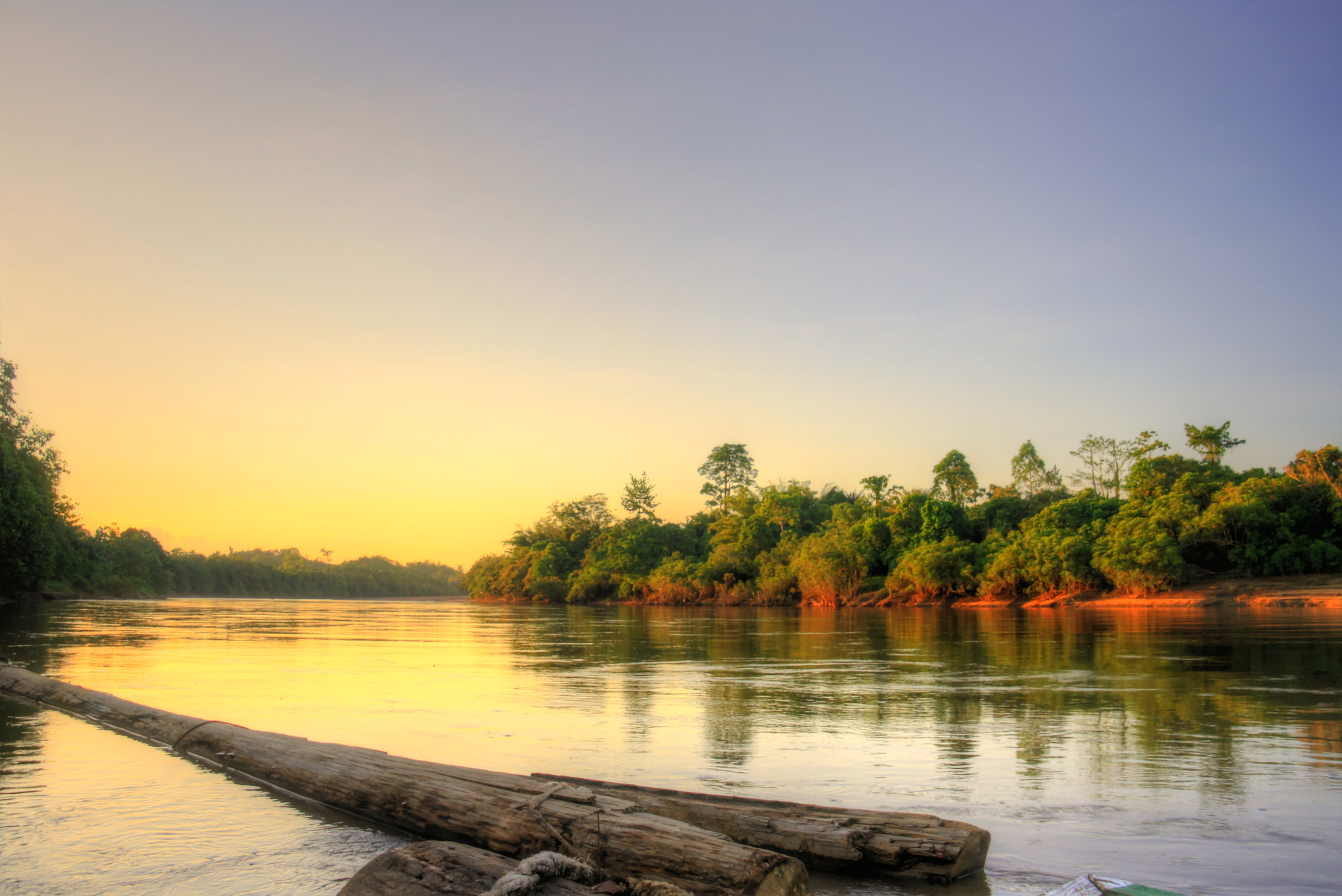 Canon EOS 1000D (EOS Digital Rebel XS / EOS Kiss F) sample photo. Golden hour in deep of borneo forest photography