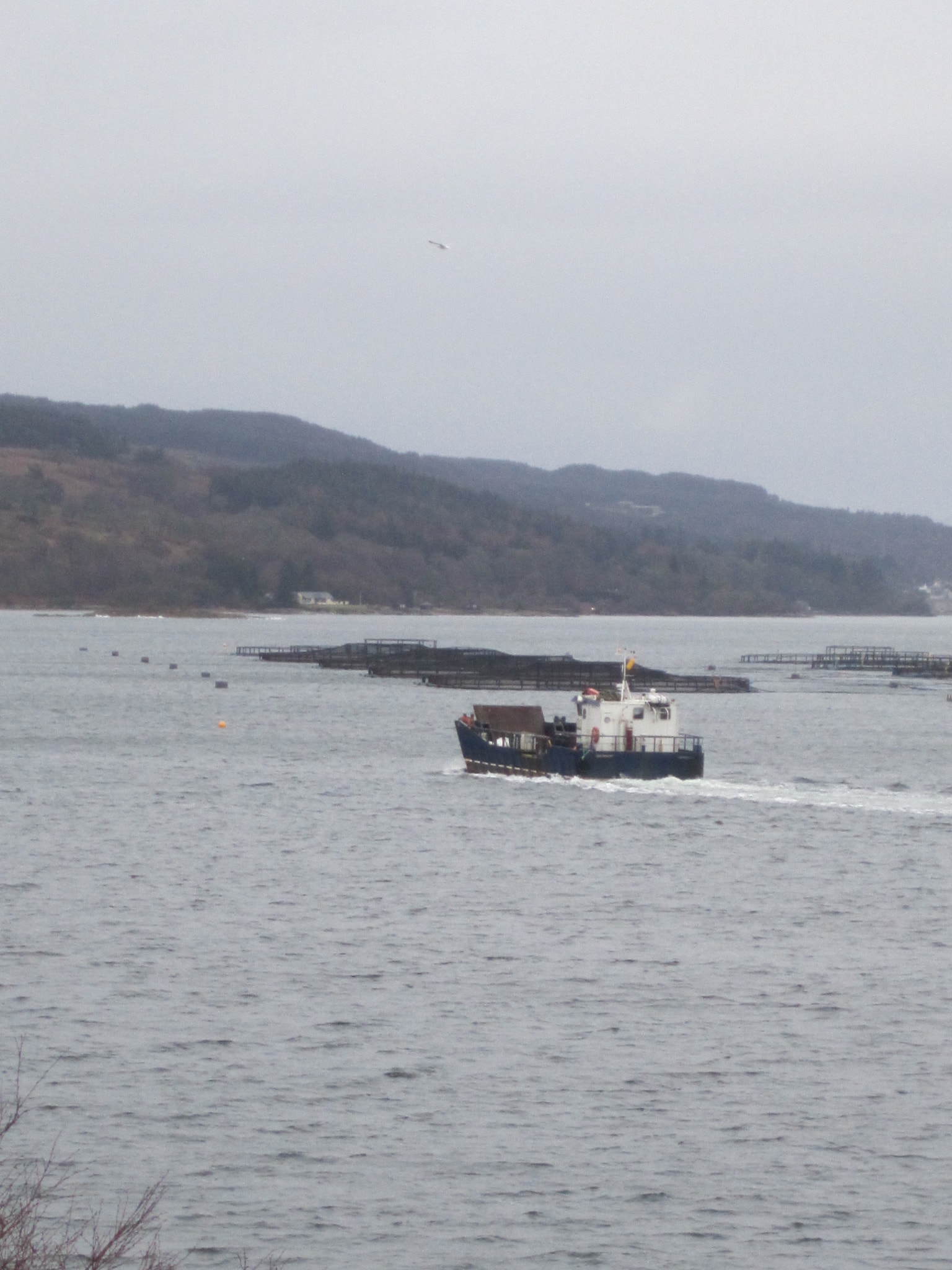 Canon PowerShot SD1400 IS (IXUS 130 / IXY 400F) sample photo. Salmon farms scotland  photography