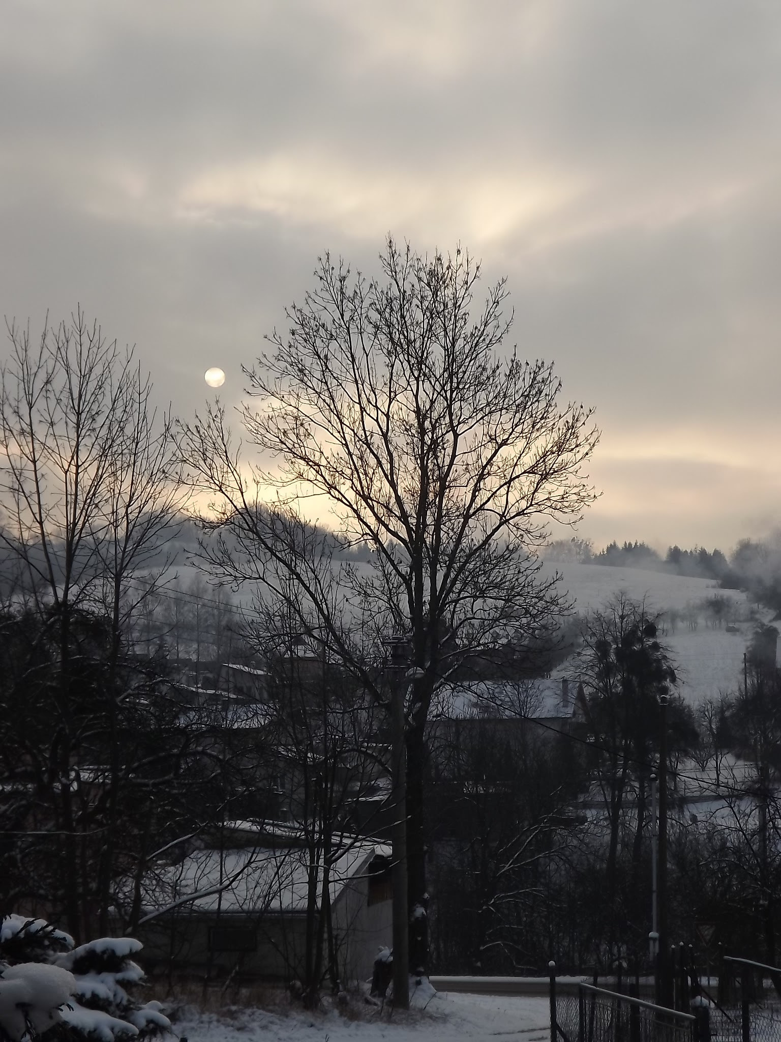 FujiFilm FinePix S3200 (FinePix S3250) sample photo. Winter wonderland  photography
