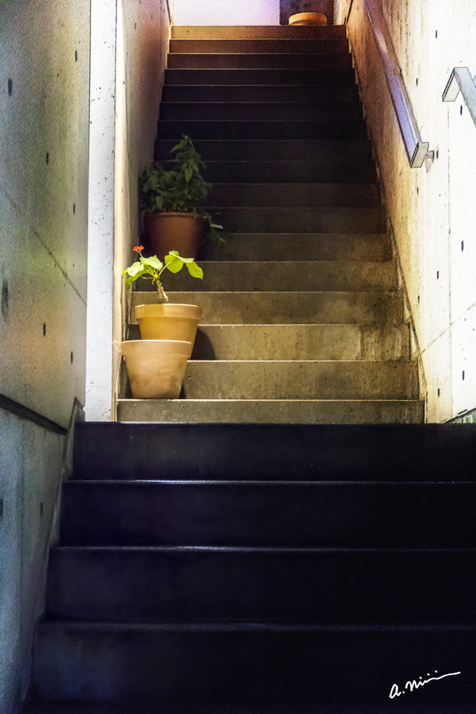 Canon EOS M3 sample photo. Step photography