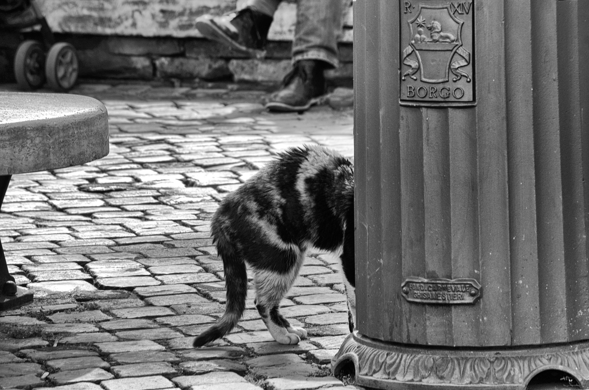 smc PENTAX-DA L 50-200mm F4-5.6 ED sample photo. Danger photography