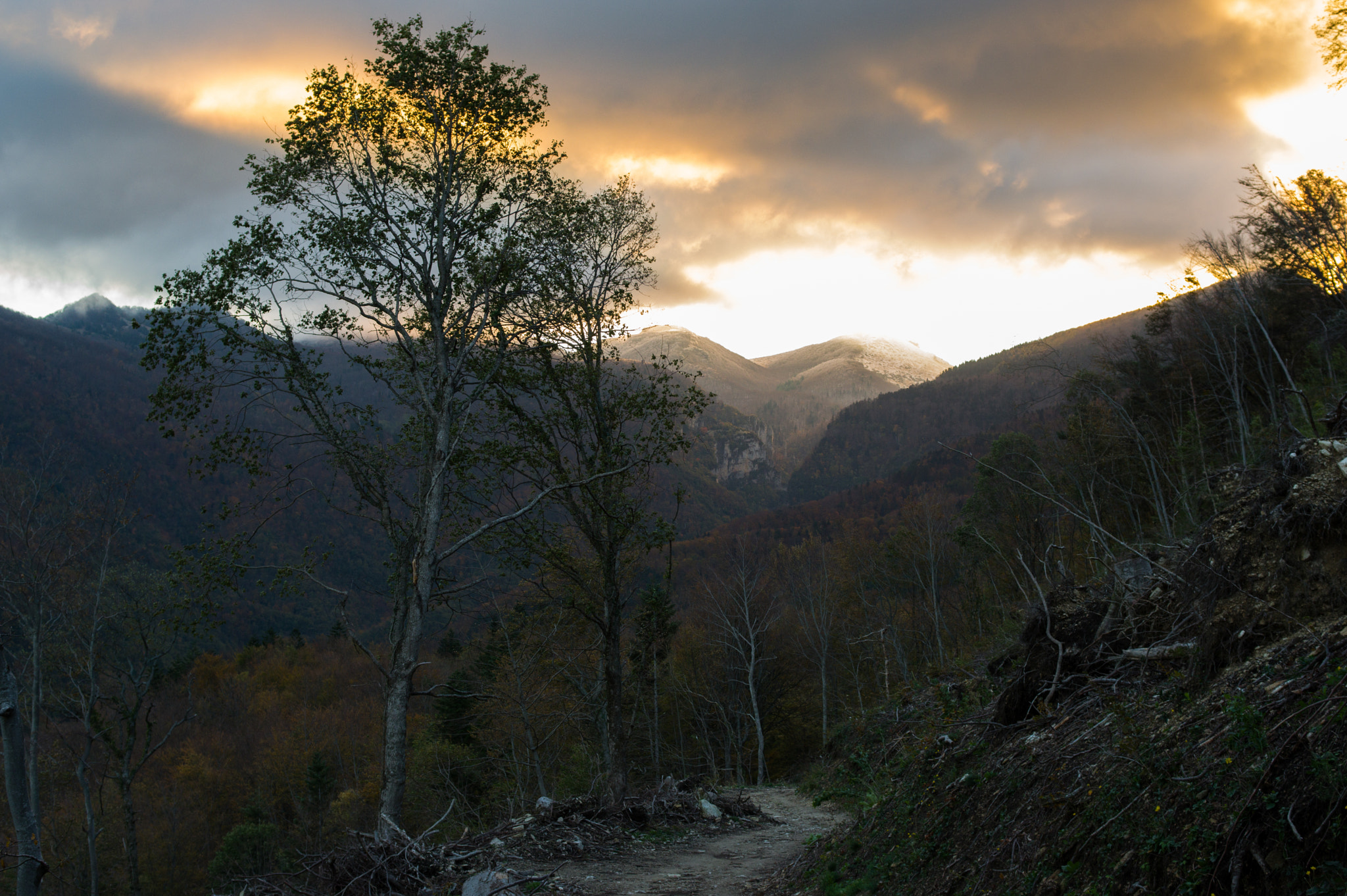 Pentax K-3 + HD Pentax DA 40mm F2.8 Limited sample photo. Saou photography