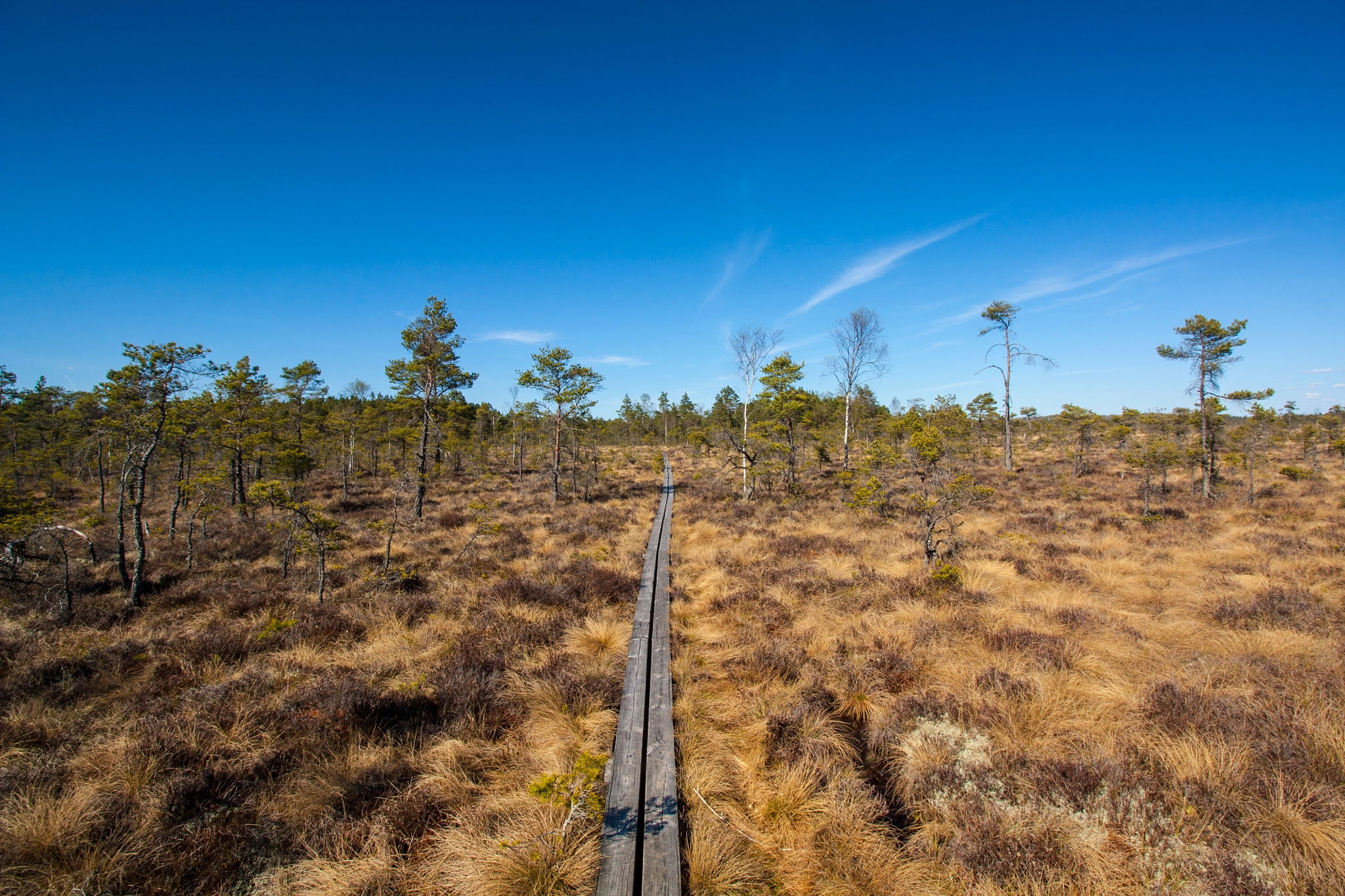Canon EF-S 10-18mm F4.5–5.6 IS STM sample photo. Store mosse national park photography