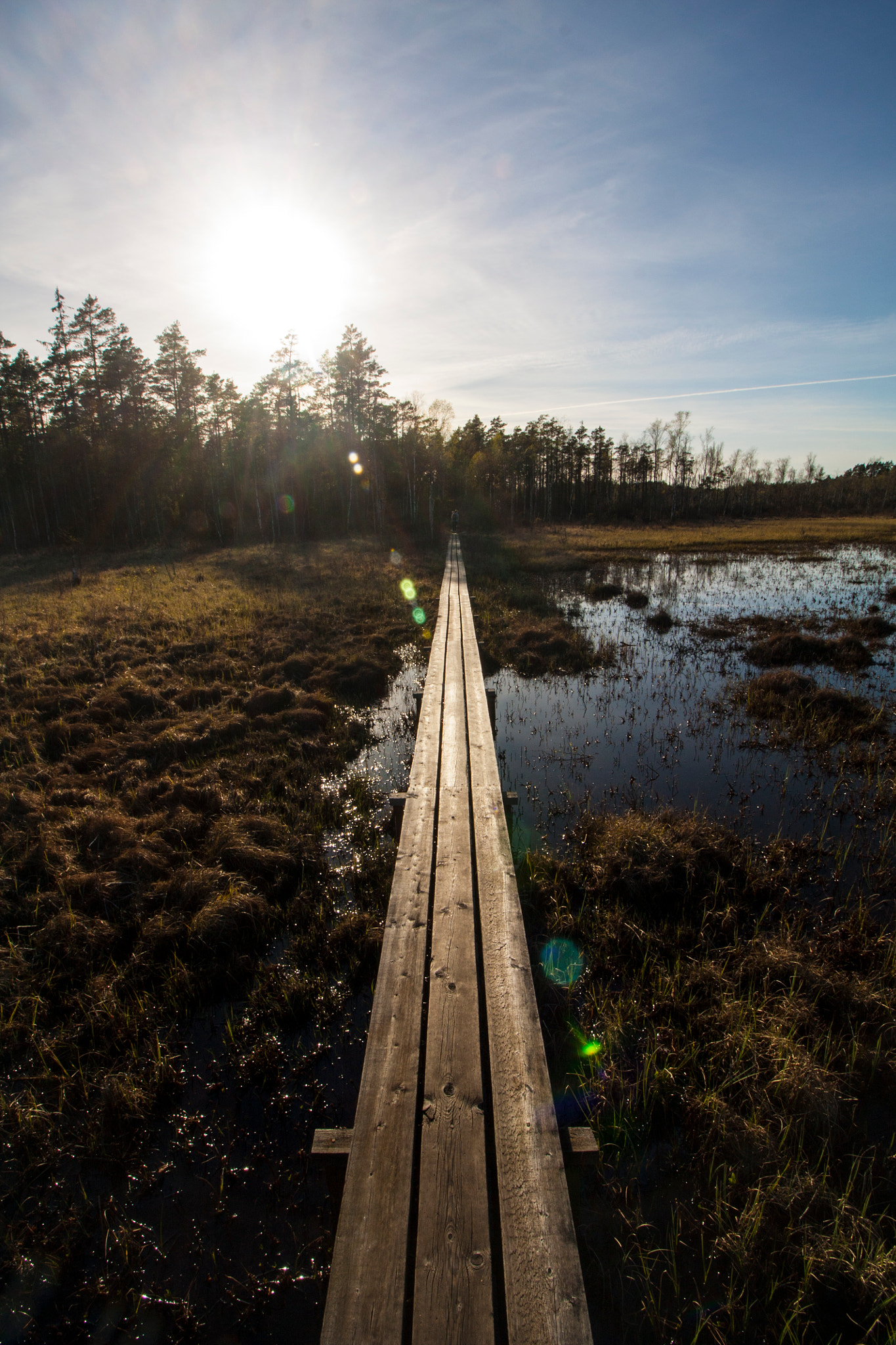 Canon EF-S 10-18mm F4.5–5.6 IS STM sample photo. Store mosse national park photography