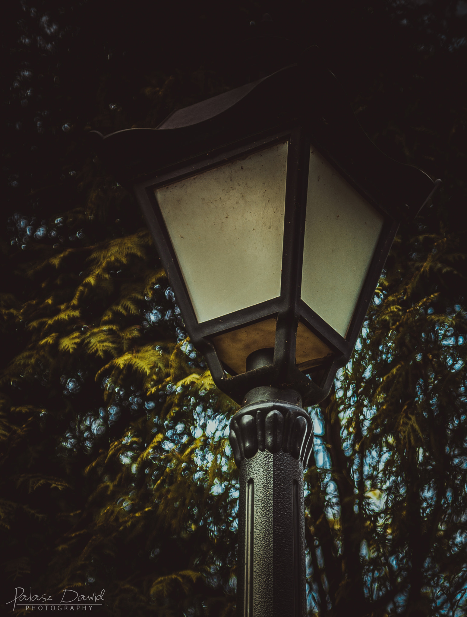Tamron AF 28-75mm F2.8 XR Di LD Aspherical (IF) sample photo. Alone lantern photography