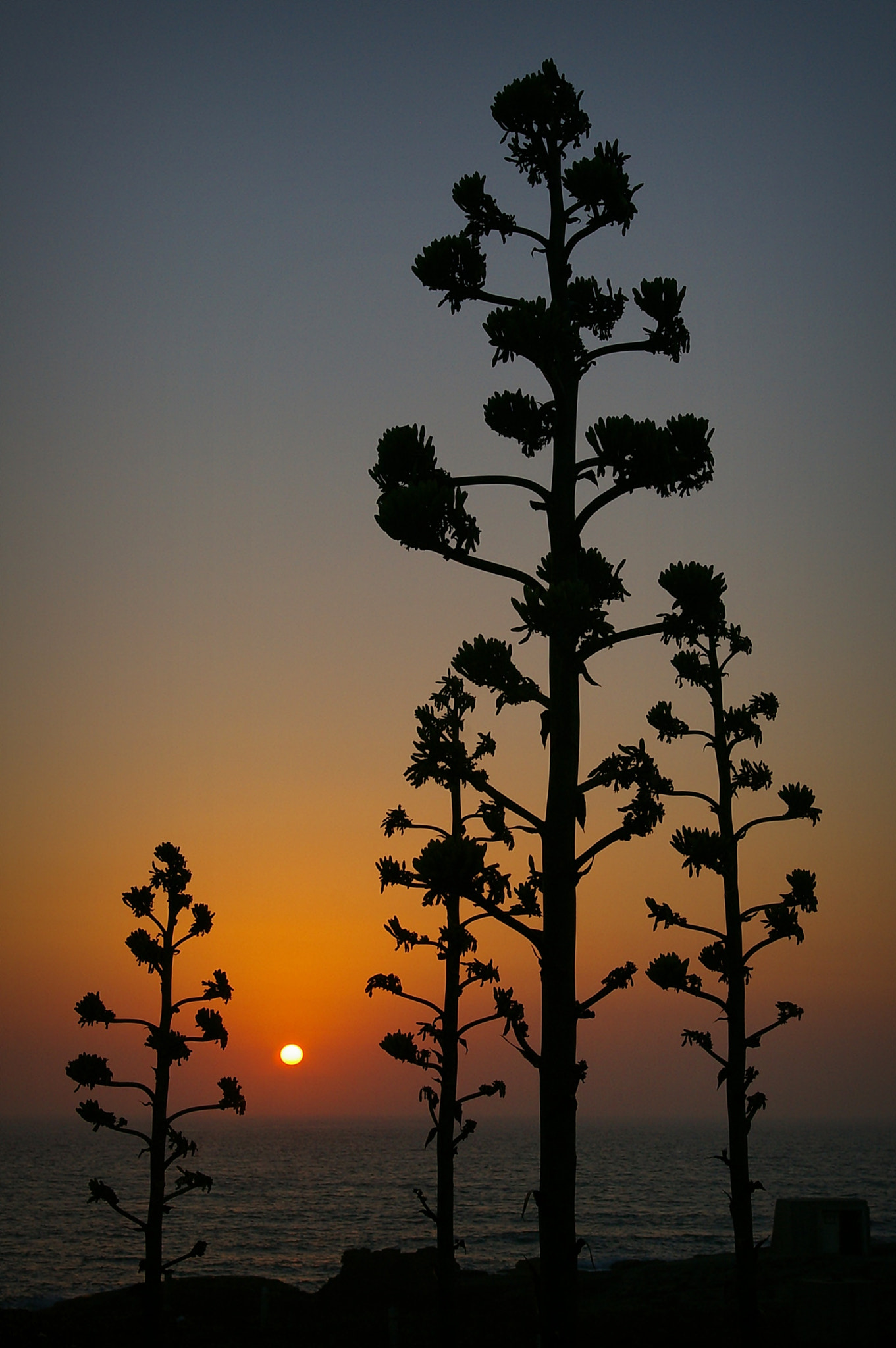 Pentax *ist DS sample photo. Sunset photography