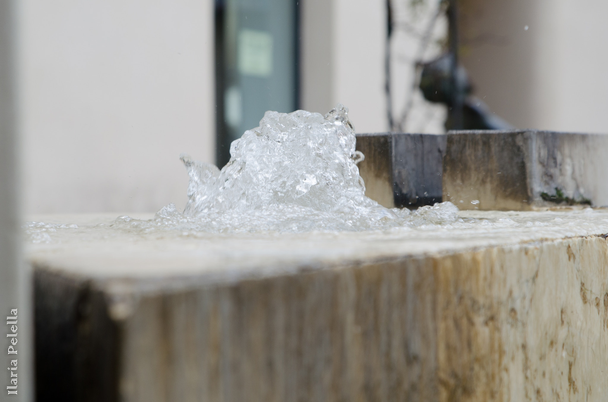 Nikon AF-S Nikkor 24-70mm F2.8G ED sample photo. Bollicine photography