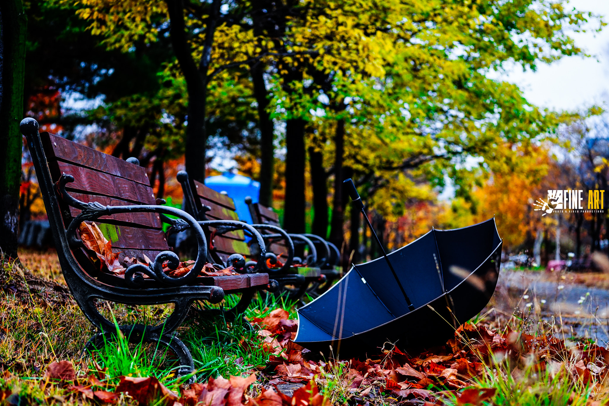Sony a7R + E 60mm F2.8 sample photo. Autumn photography