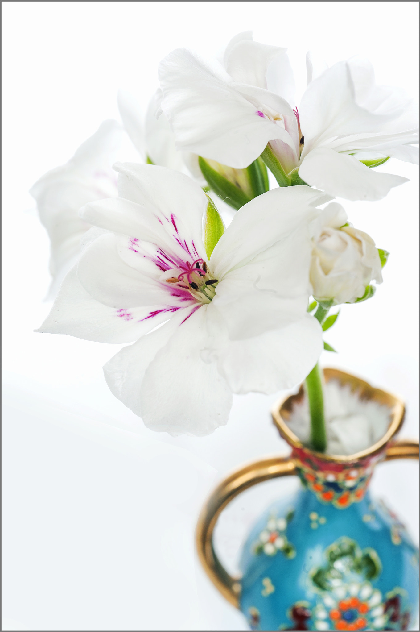 AF Micro-Nikkor 60mm f/2.8 sample photo. *** photography