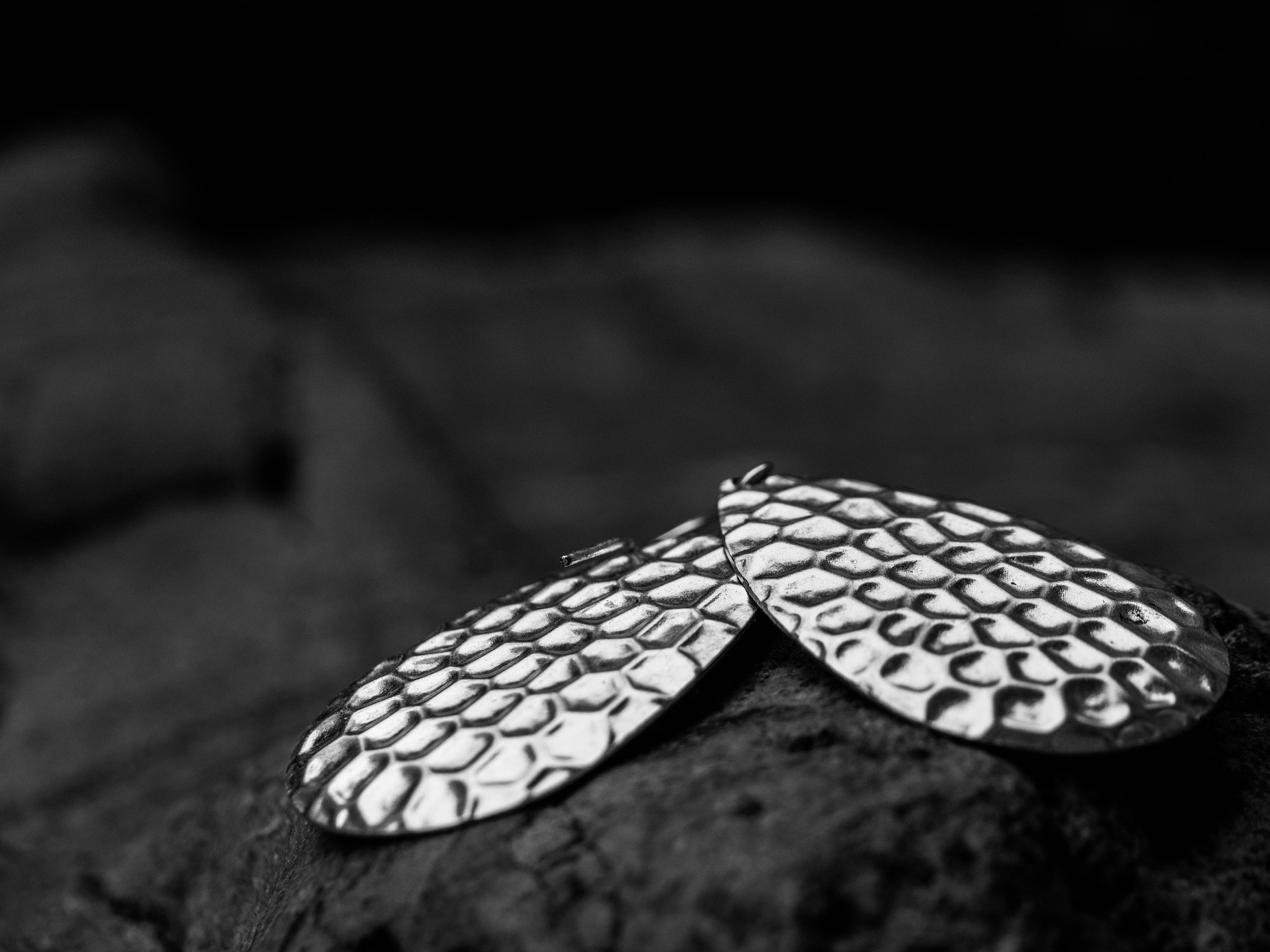 Panasonic Leica DG Macro-Elmarit 45mm F2.8 ASPH OIS sample photo. Earrings photography