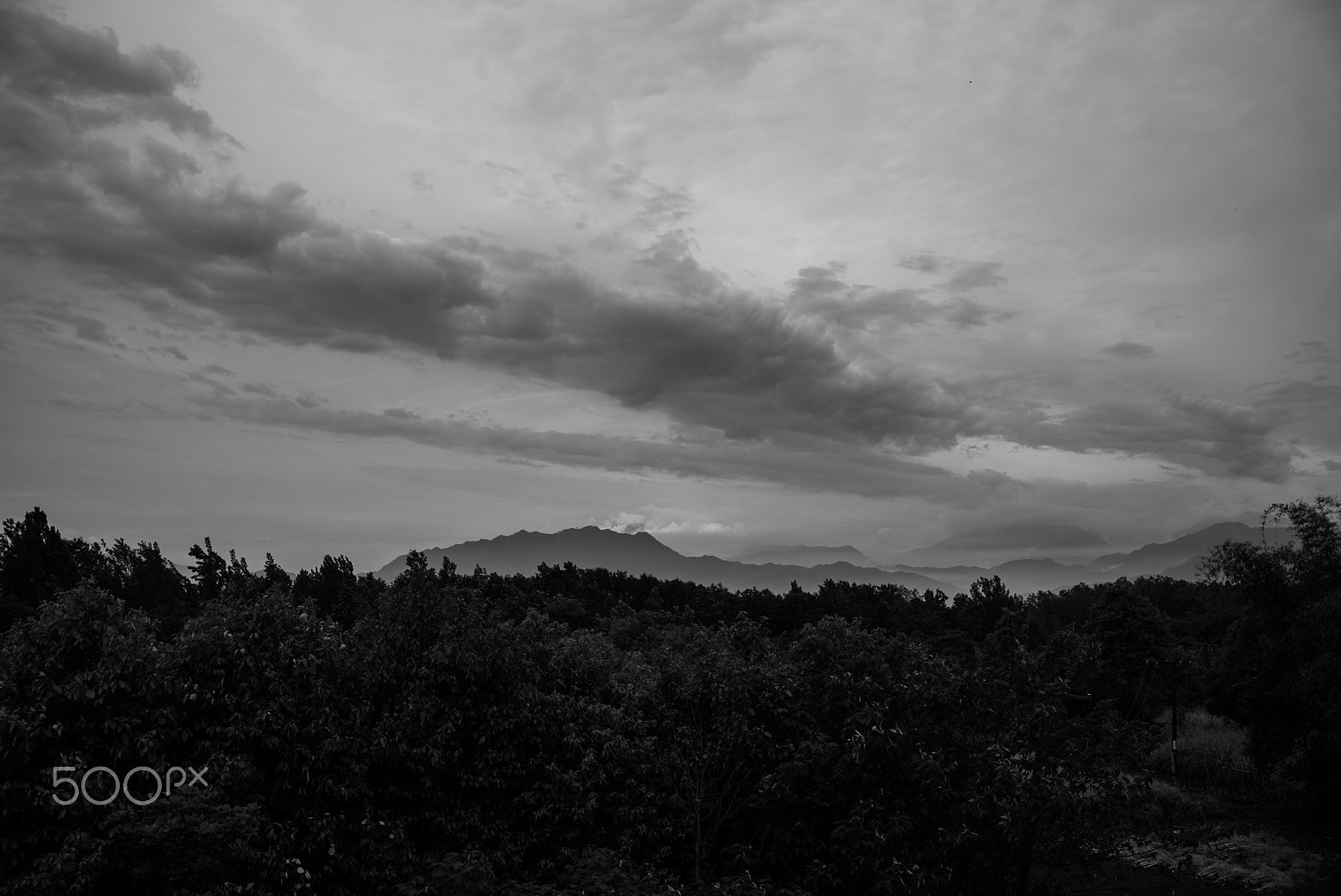 Leica Summilux-M 35mm F1.4 ASPH sample photo. Brushed by the rain photography