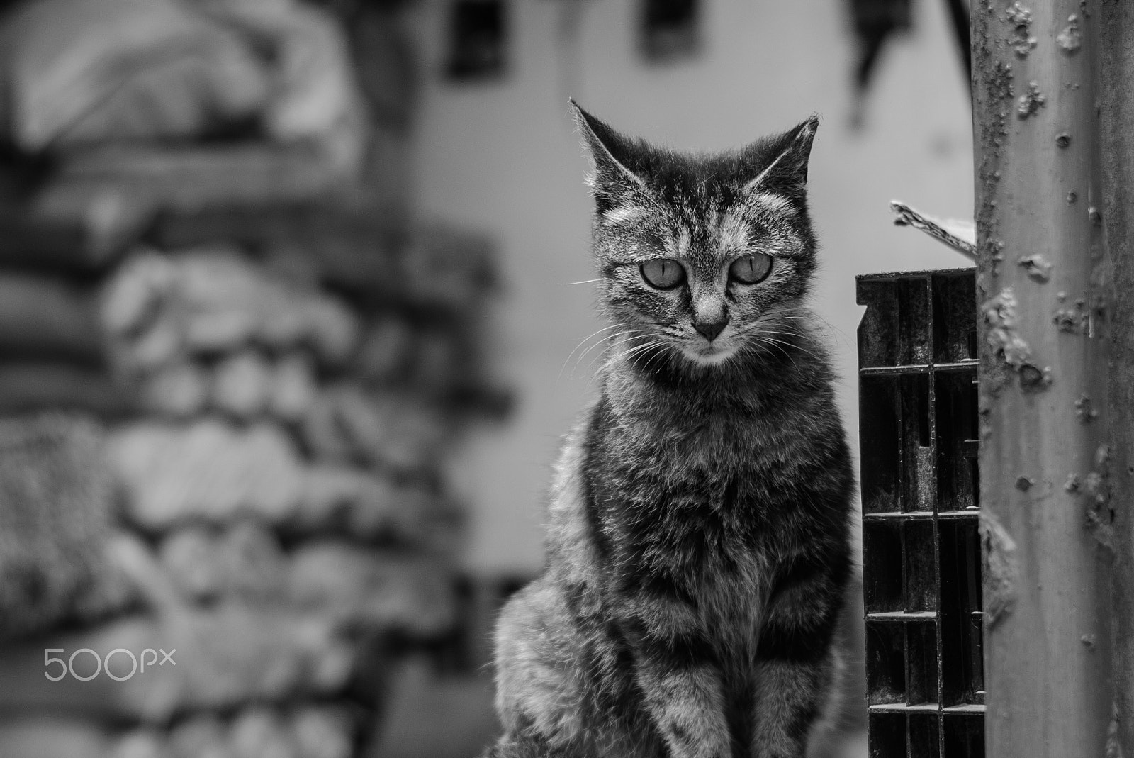 Leica Summilux-M 35mm F1.4 ASPH sample photo. Stare photography