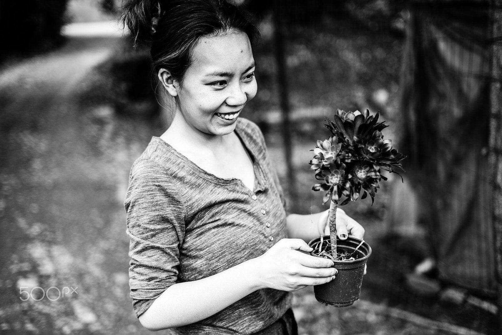 Leica Summilux-M 35mm F1.4 ASPH sample photo. Favourite flower photography