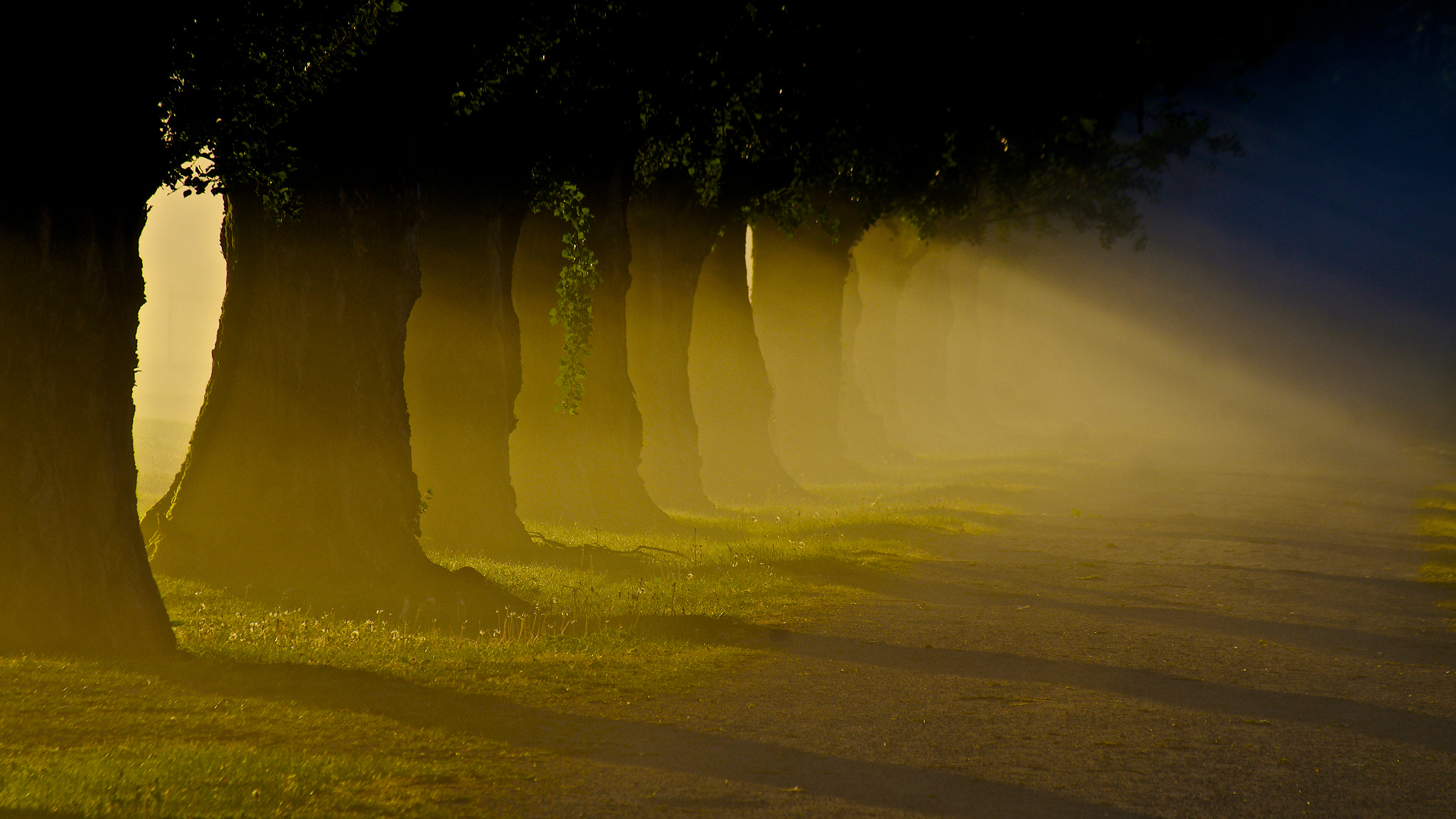 Pentax smc DA 50-200mm F4-5.6 ED WR sample photo. The windbreak photography