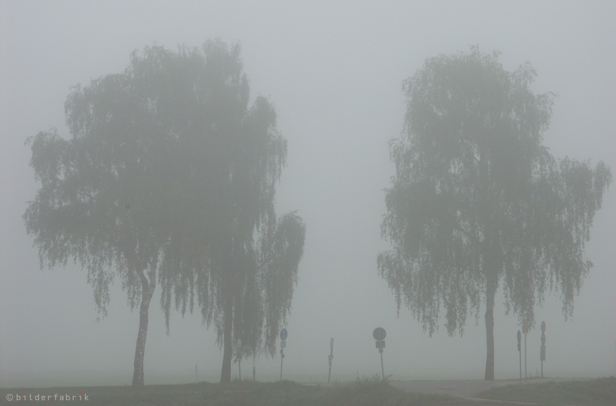 KONICA MINOLTA DiMAGE A2 sample photo. One foggy morning photography