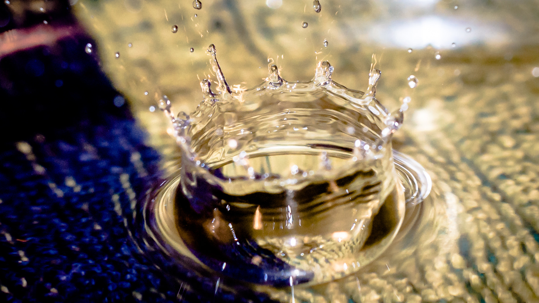 Sigma 150mm F2.8 EX DG OS Macro HSM sample photo. Goutte photography