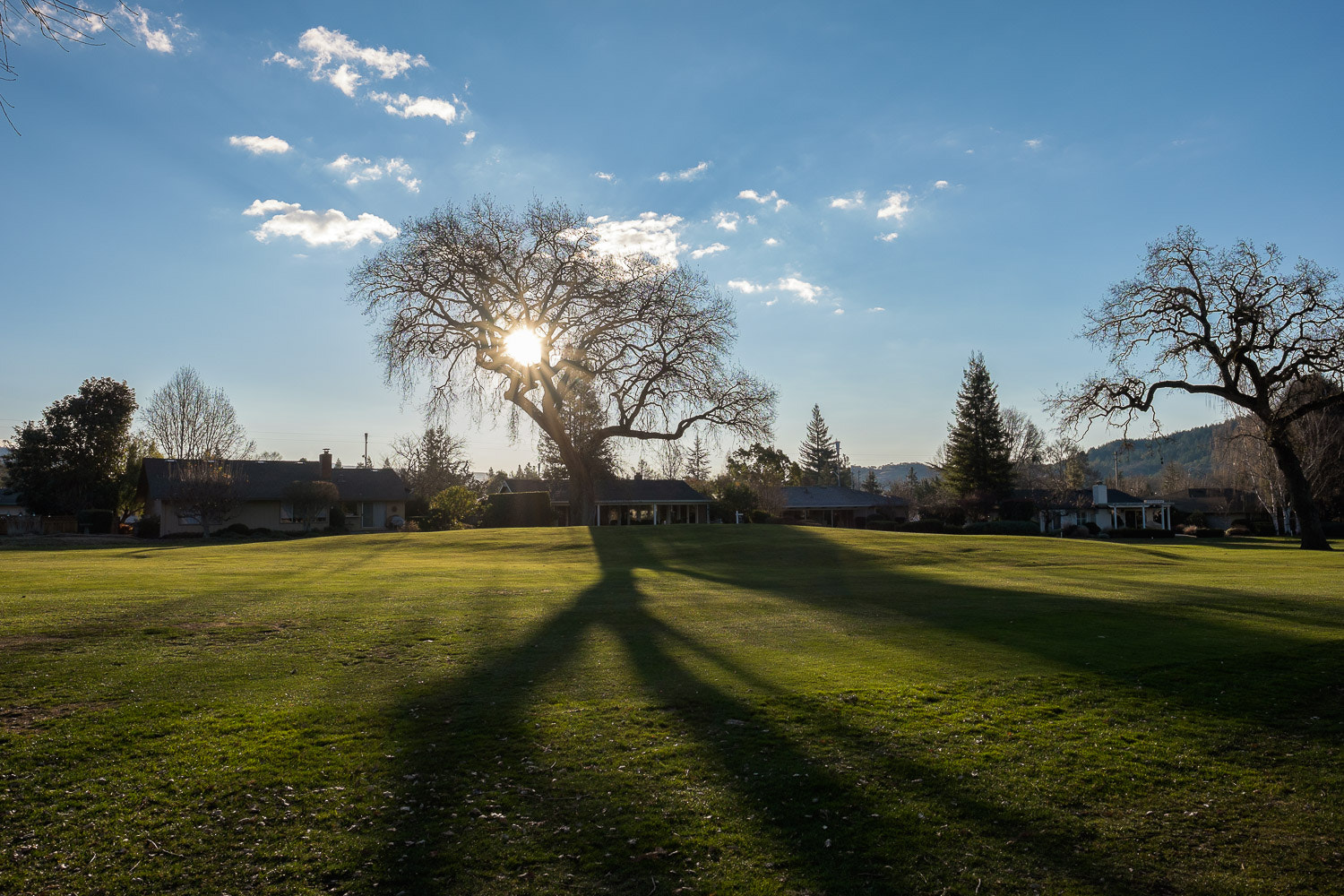 Fujifilm X-E2 + Fujifilm XF 16mm F1.4 R WR sample photo. Non golf outing photography