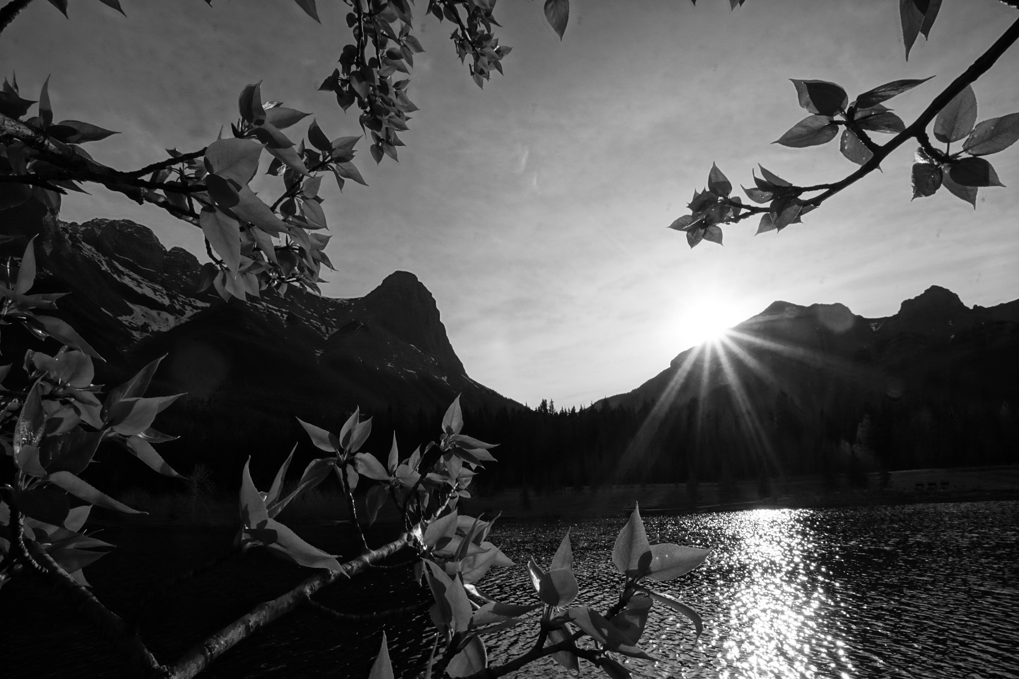 Sony ILCA-77M2 + DT 10-24mm F3.5-4.5 SAM sample photo. Ha ling peak photography