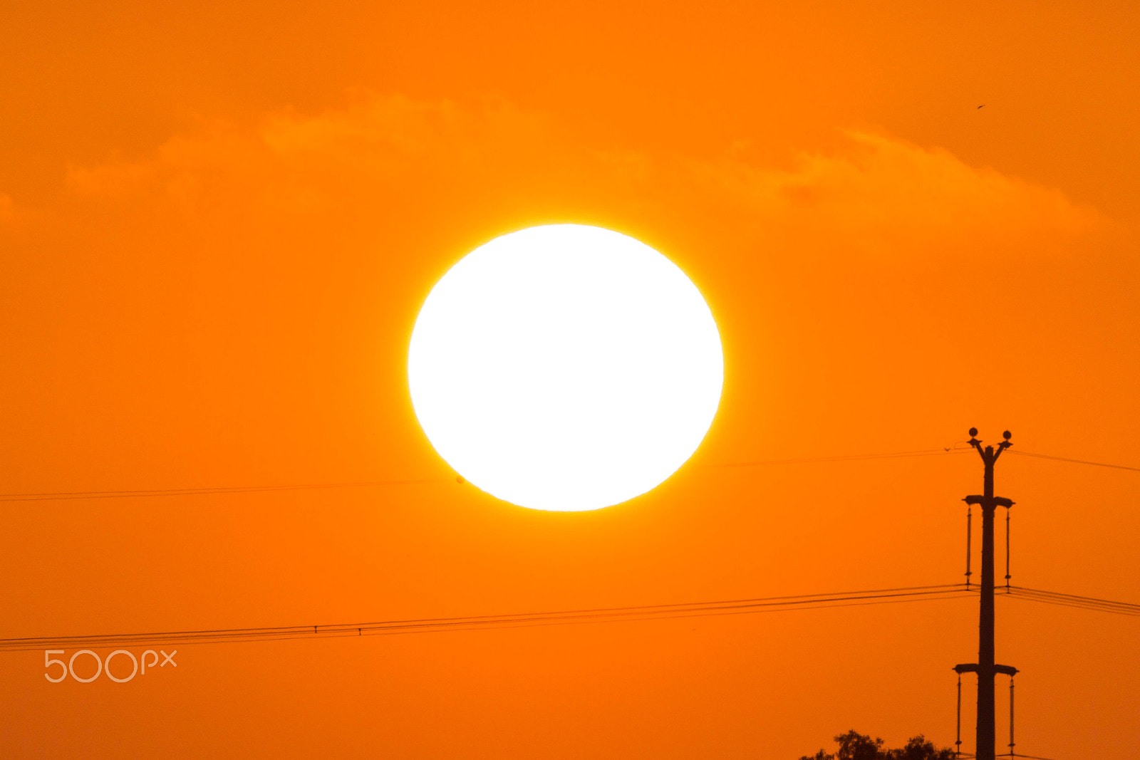 Canon EOS 600D (Rebel EOS T3i / EOS Kiss X5) sample photo. Sun on  cables photography