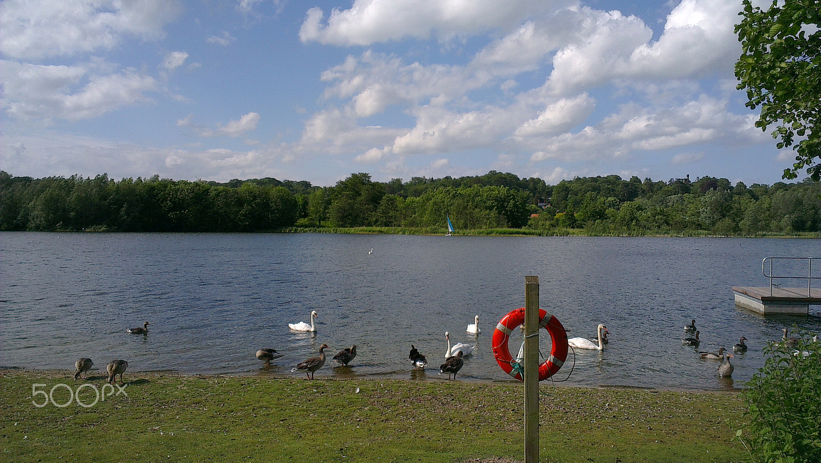 HTC ONE X sample photo. An afternoon at whitlingham park photography
