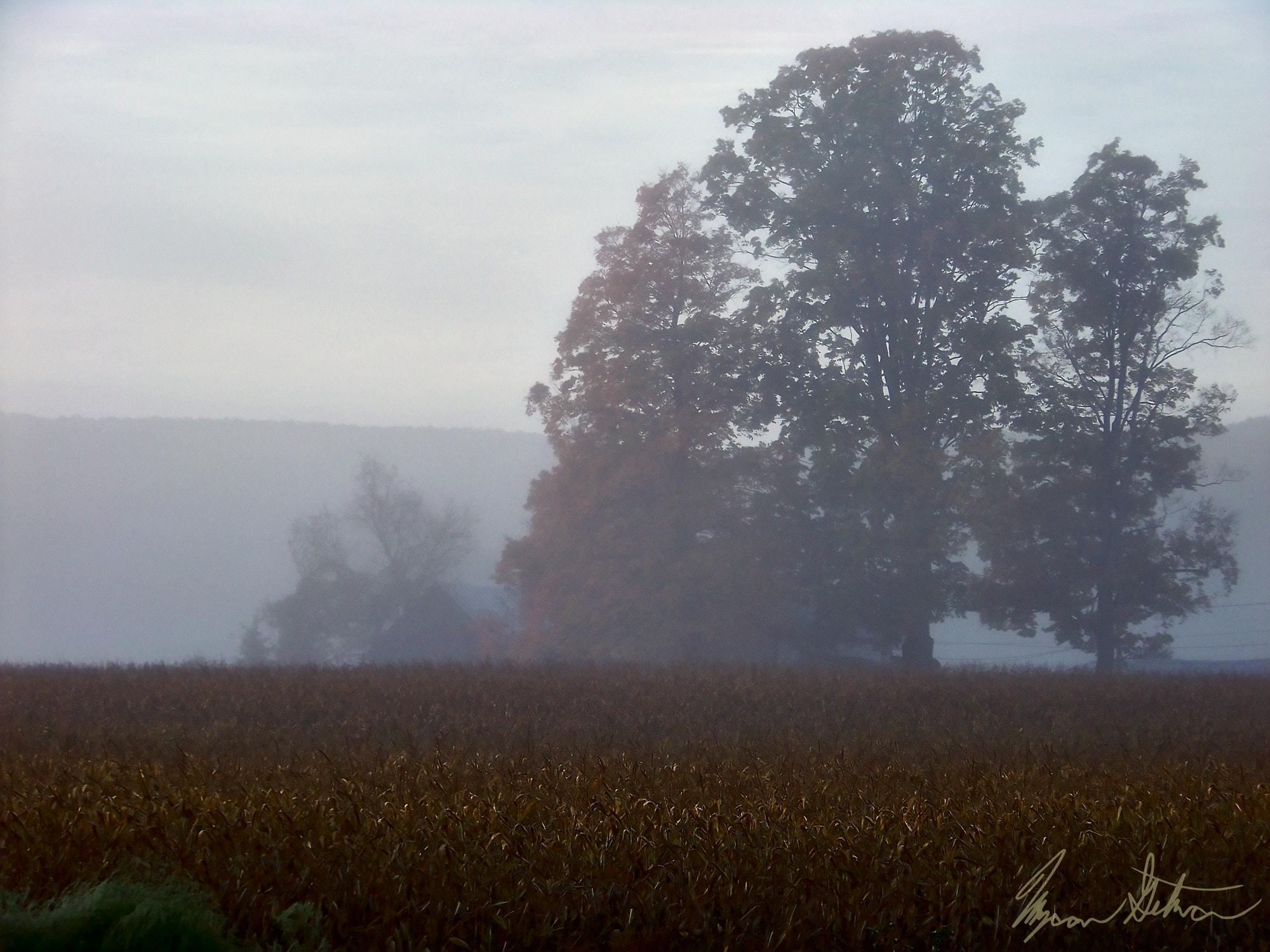 Kodak Z812 IS ZOOM DIGITAL CAMERA sample photo. Fog lifting from a field photography