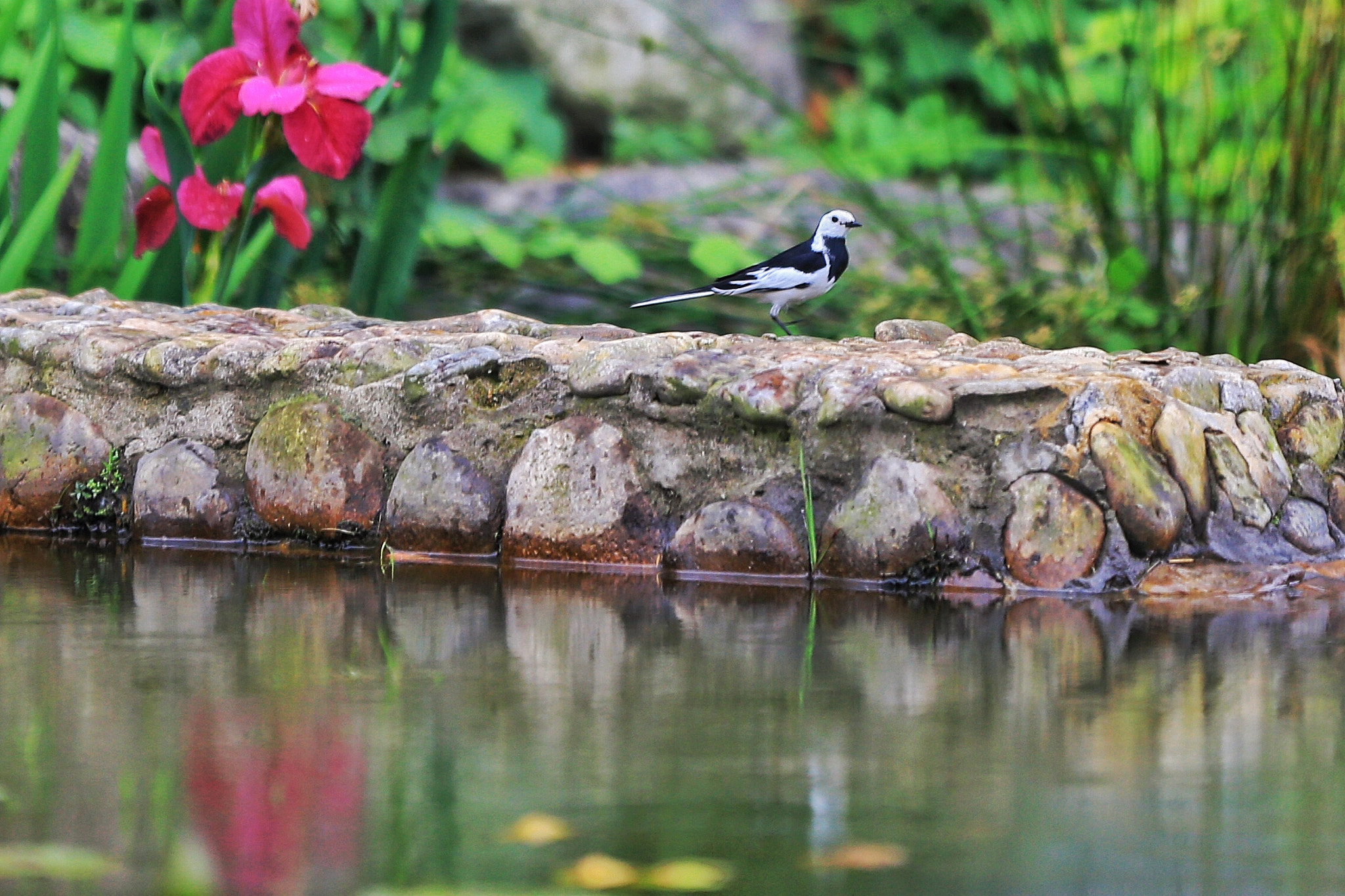 Canon EF 70-200mm F2.8L IS II USM sample photo