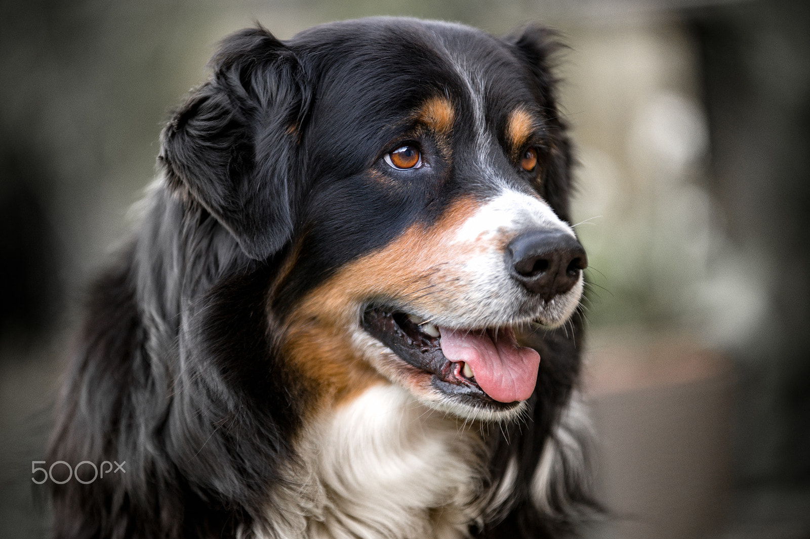 70-200mm F2.8 sample photo. Portrait photography