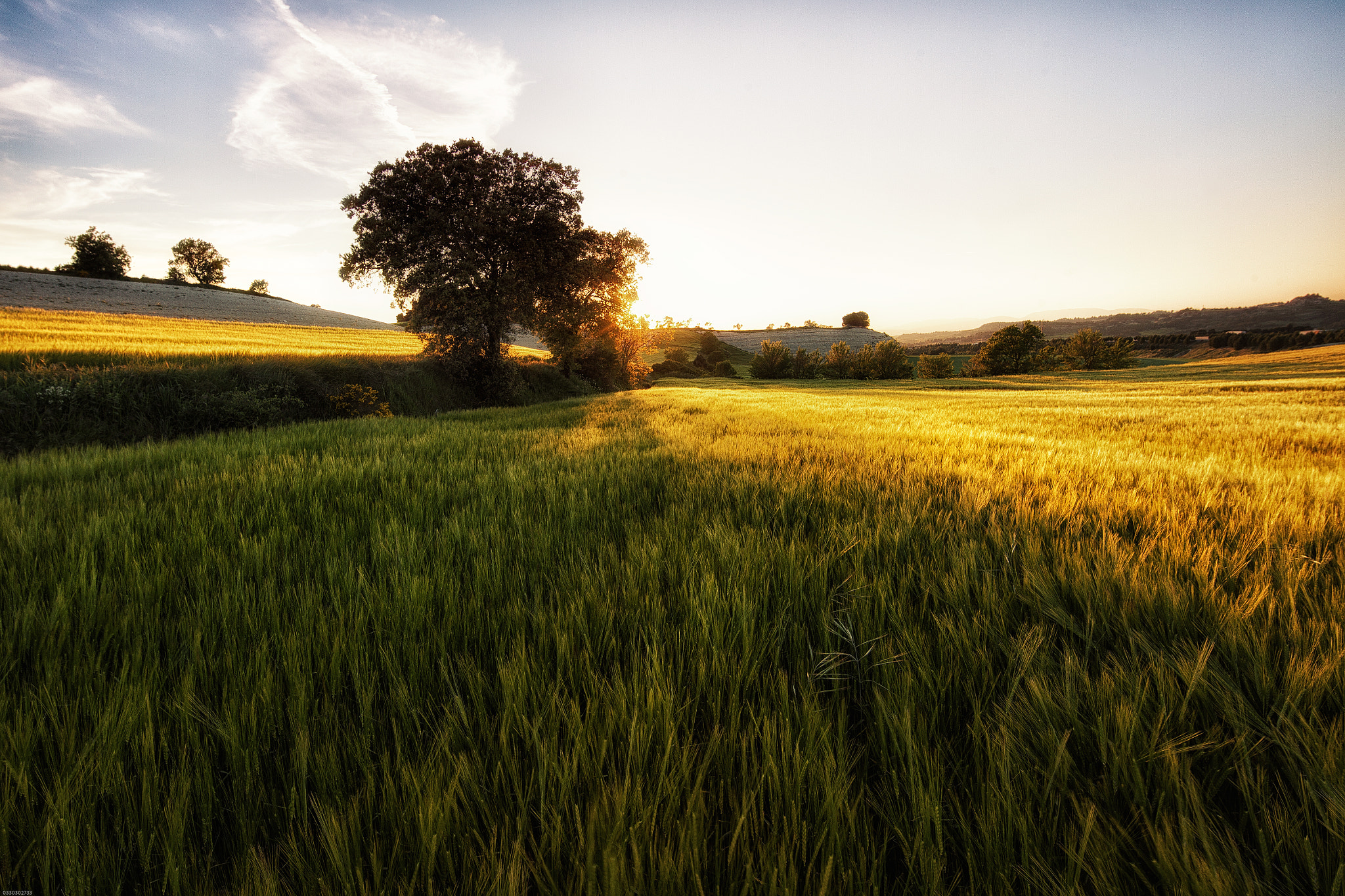 Canon EF 14mm F2.8L II USM sample photo. Primavera photography