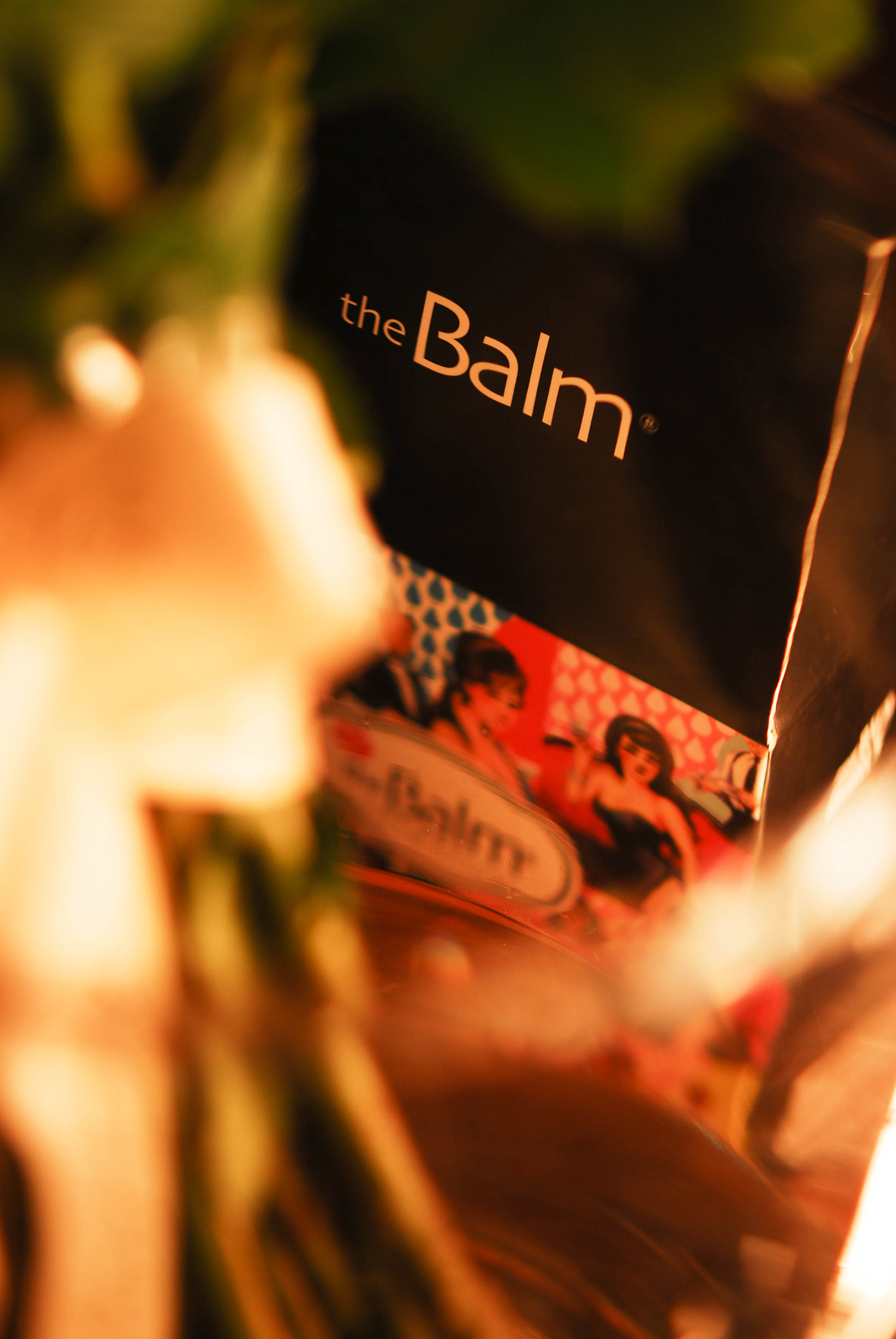 Nikon AF-S Micro-Nikkor 60mm F2.8G ED sample photo. The balm photography