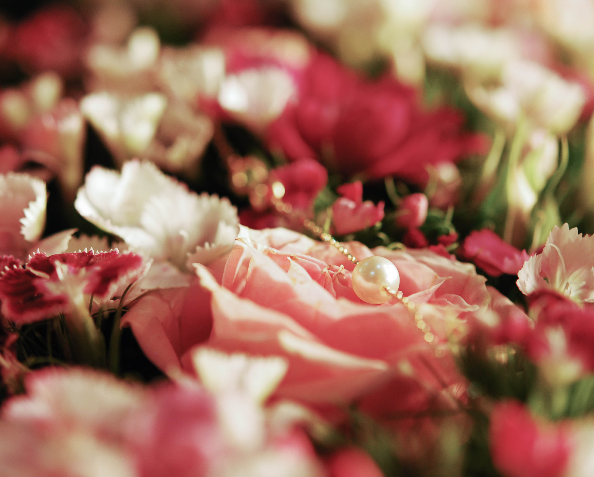 Nikon AF-S Micro-Nikkor 60mm F2.8G ED sample photo. You are the pearl photography