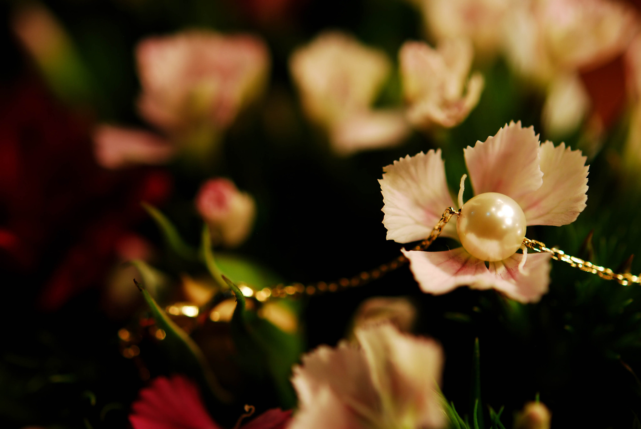 Nikon AF-S Micro-Nikkor 60mm F2.8G ED sample photo. Pearl photography