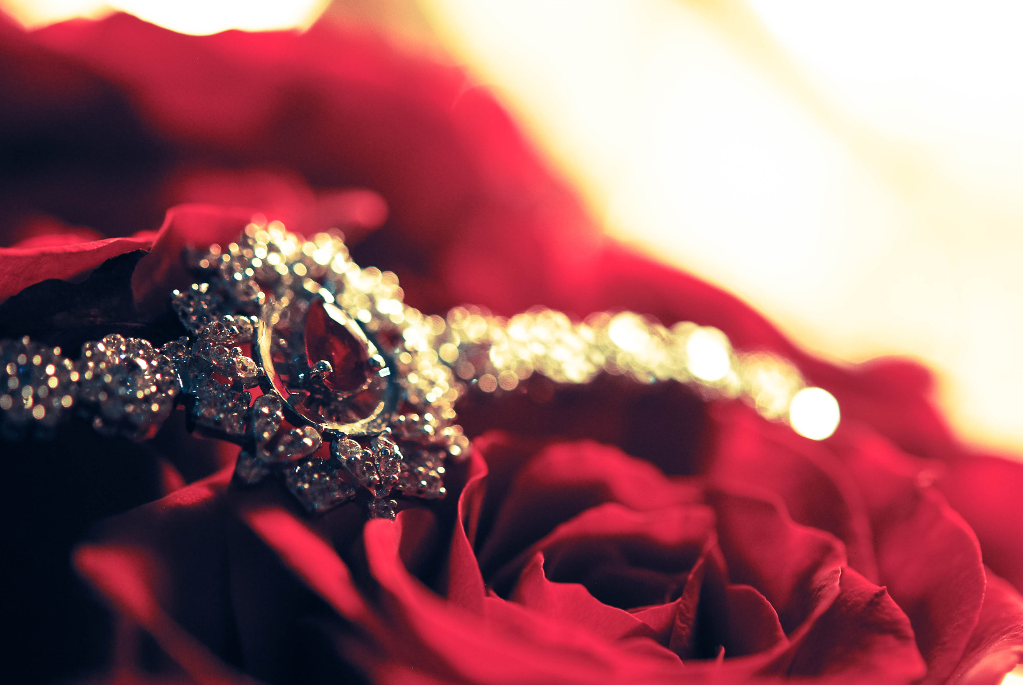 Nikon AF-S Micro-Nikkor 60mm F2.8G ED sample photo. The queen photography