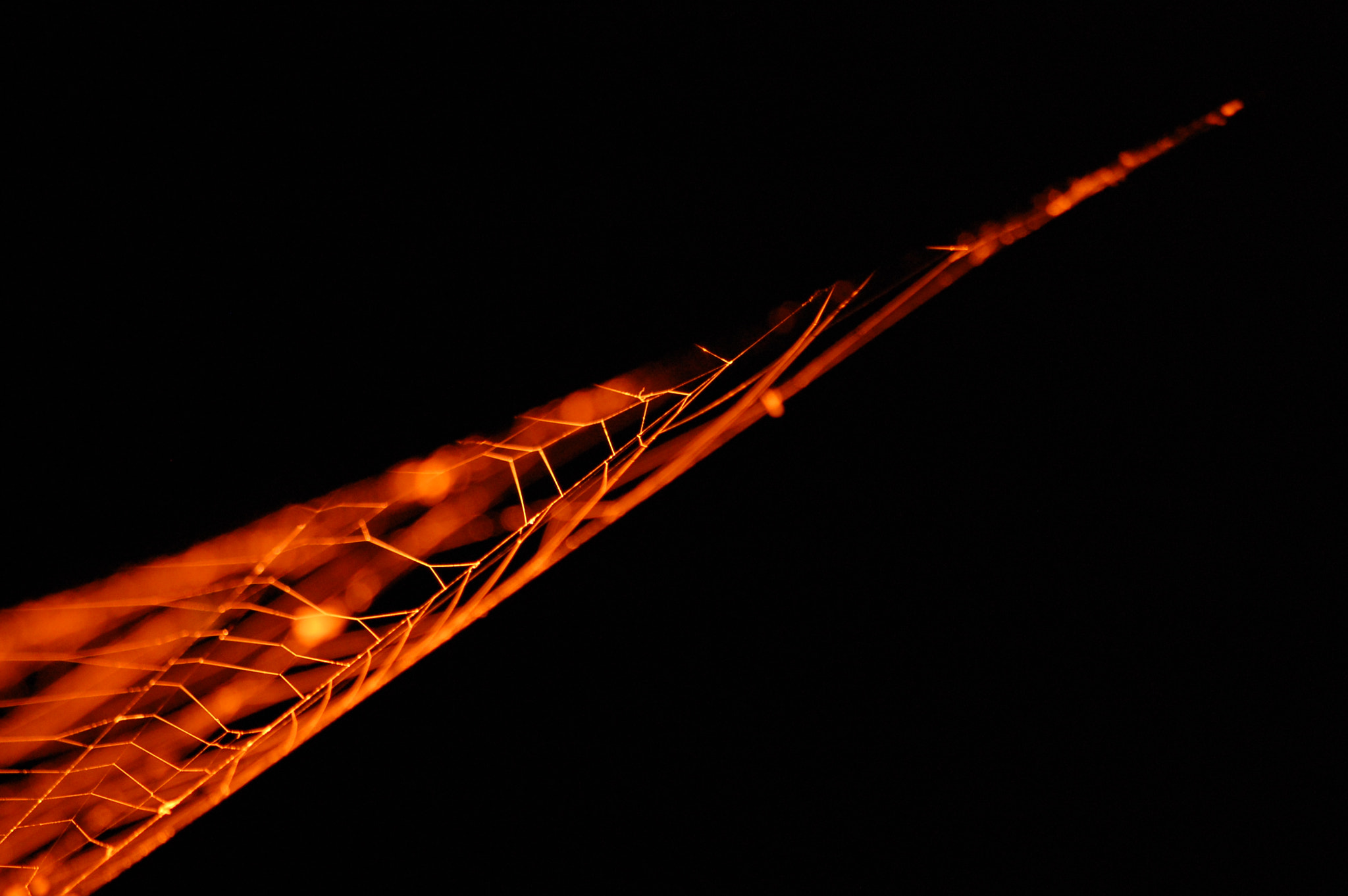 Sigma 70-300mm F4-5.6 APO DG Macro sample photo. Spider's web photography