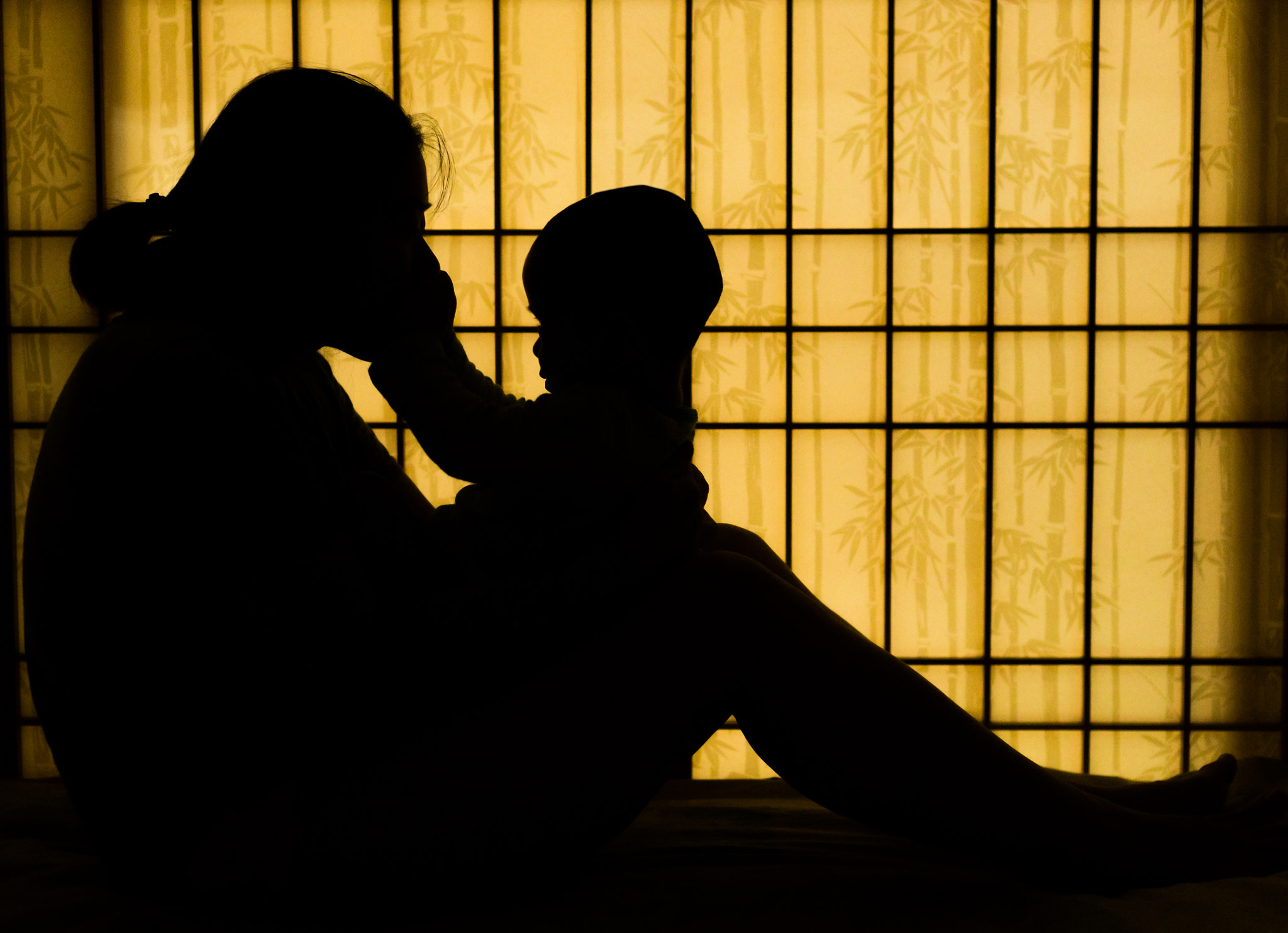Sigma 50mm F1.4 EX DG HSM sample photo. Love silhouette photography