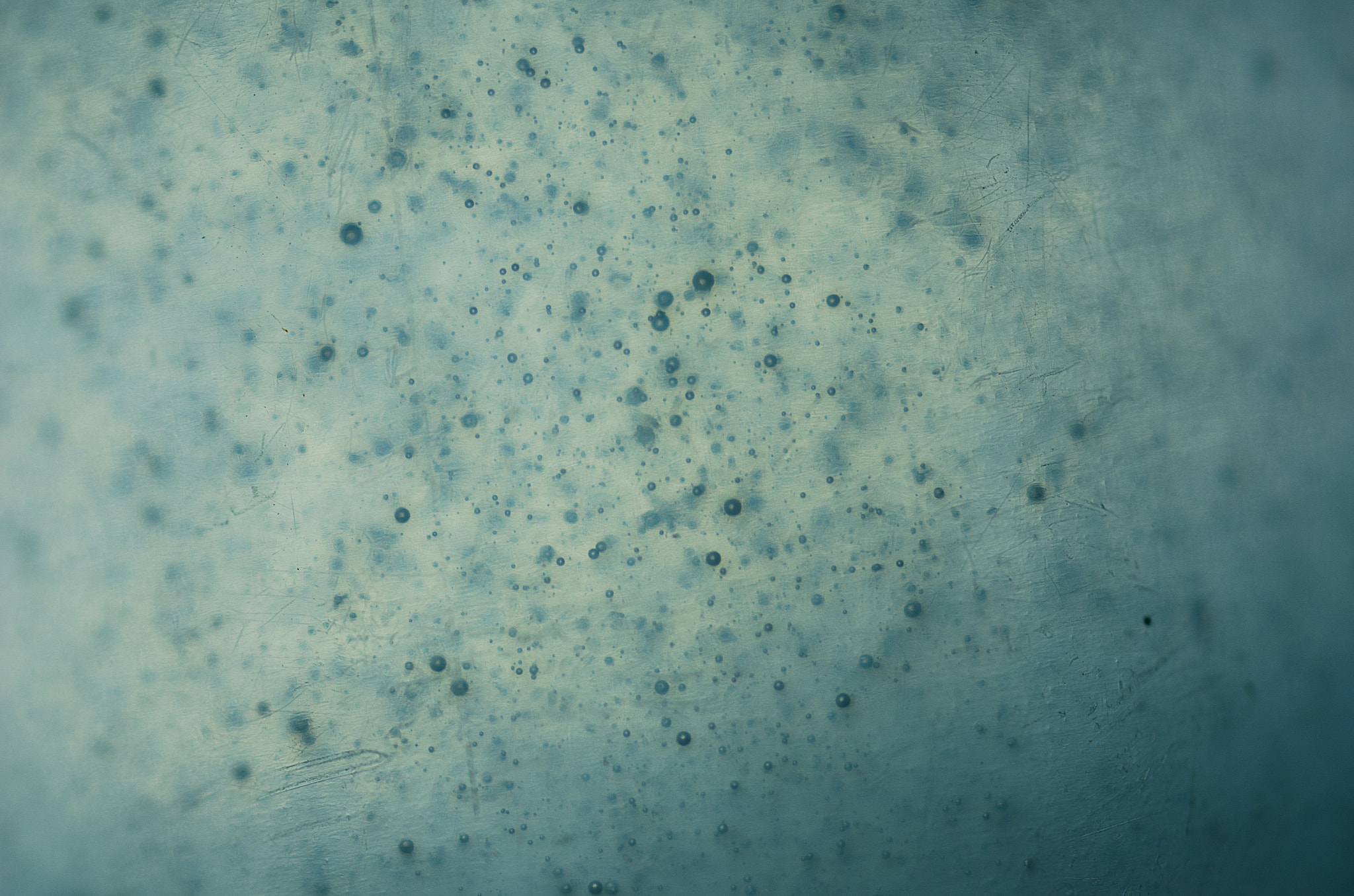 Nikon D7000 + Sigma 50mm F2.8 EX DG Macro sample photo. E-bubbles photography